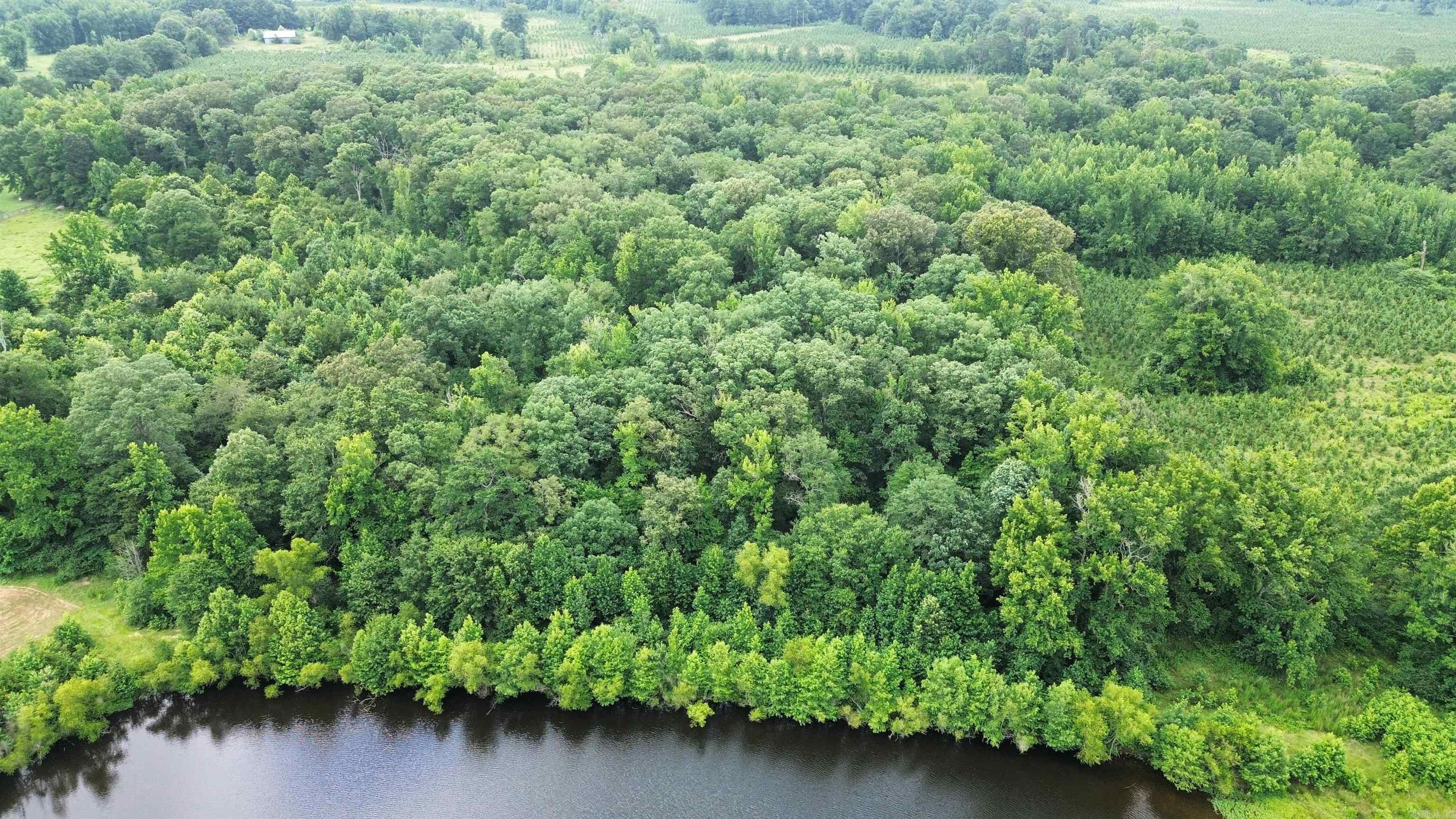 000 Sevier CR 279 / Greyland Rd.  Dierks, AR
