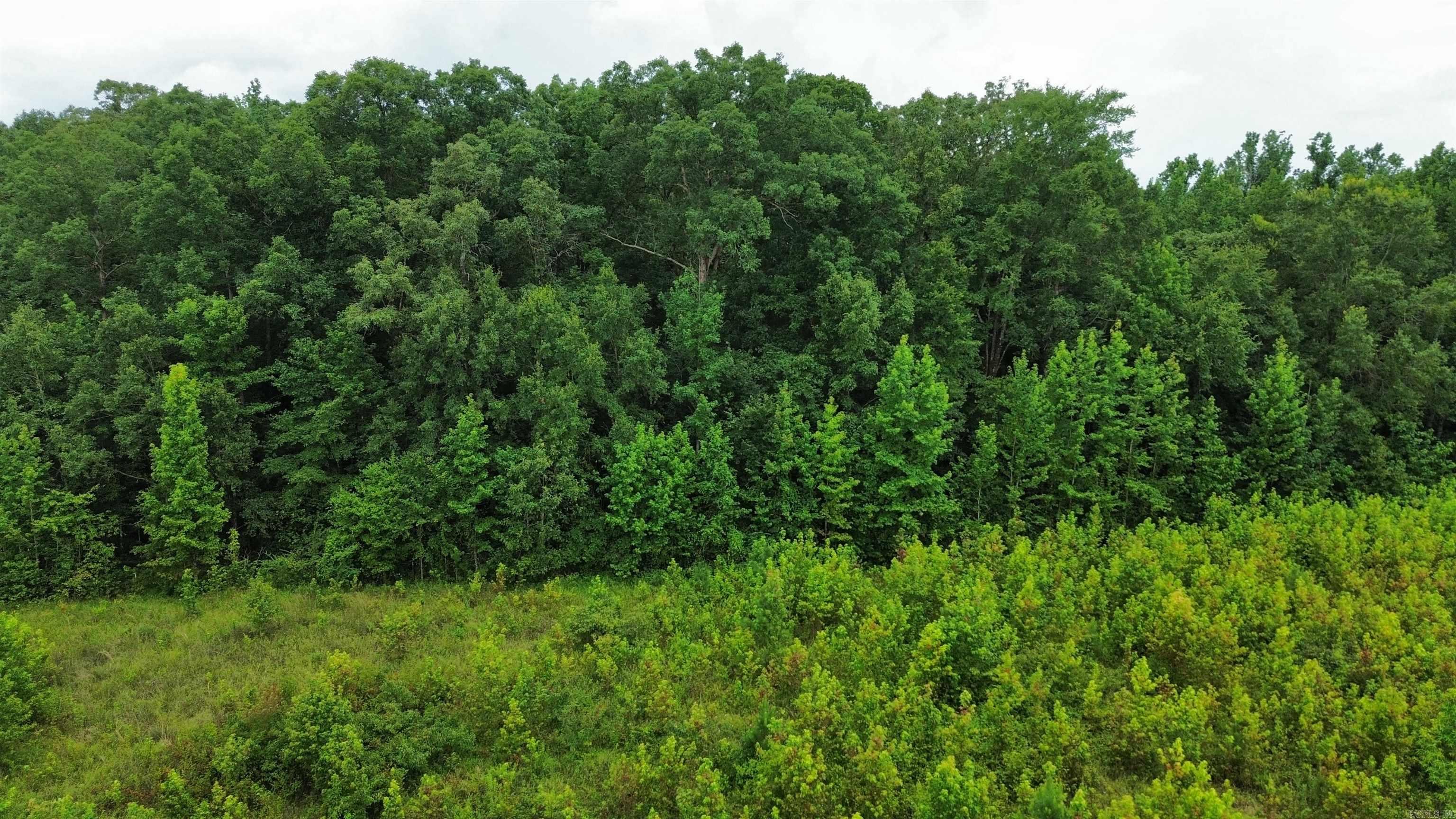 000 Sevier CR 279 / Greyland Rd.  Dierks, AR