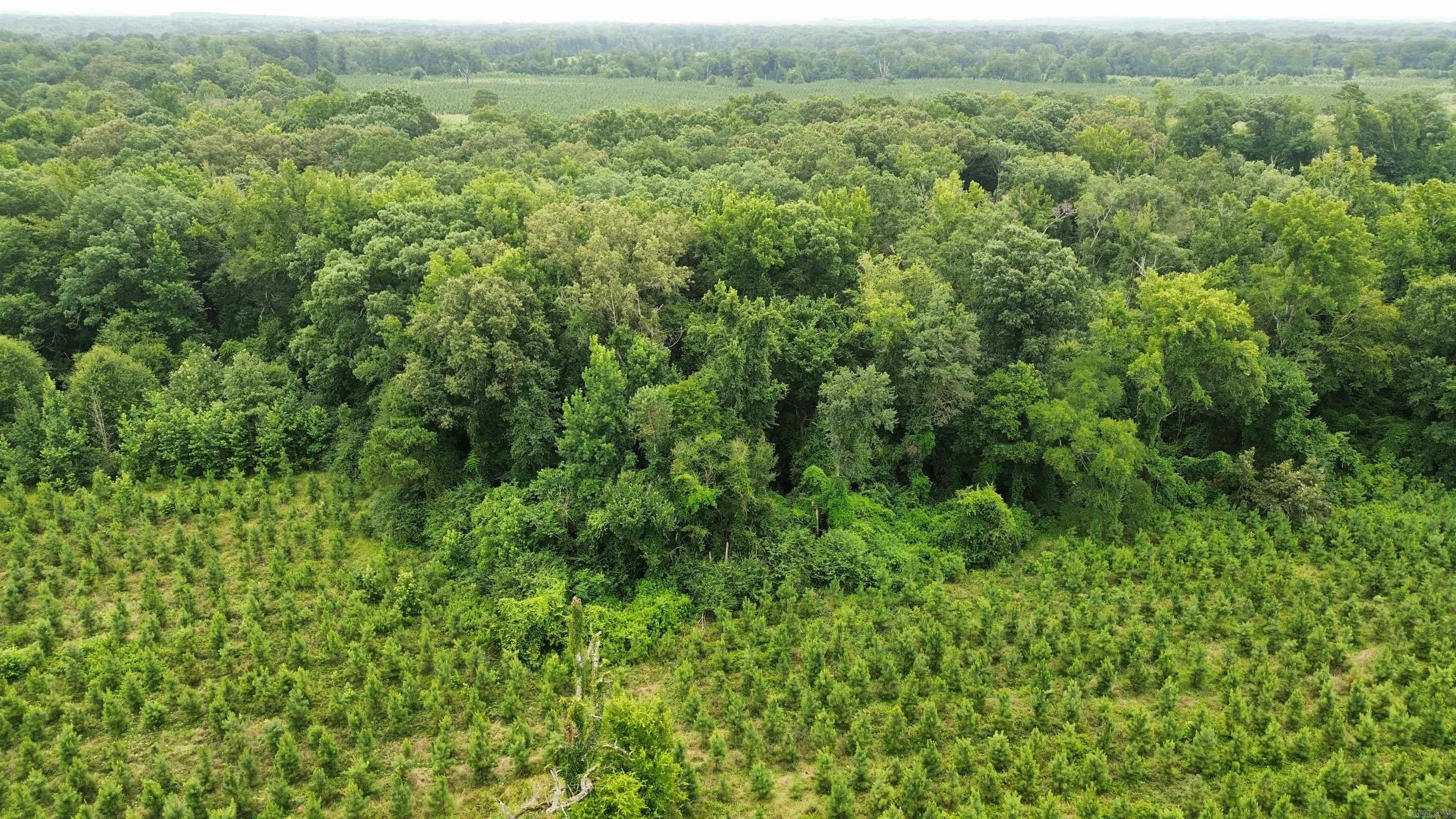 000 Sevier CR 279 / Greyland Rd.  Dierks, AR