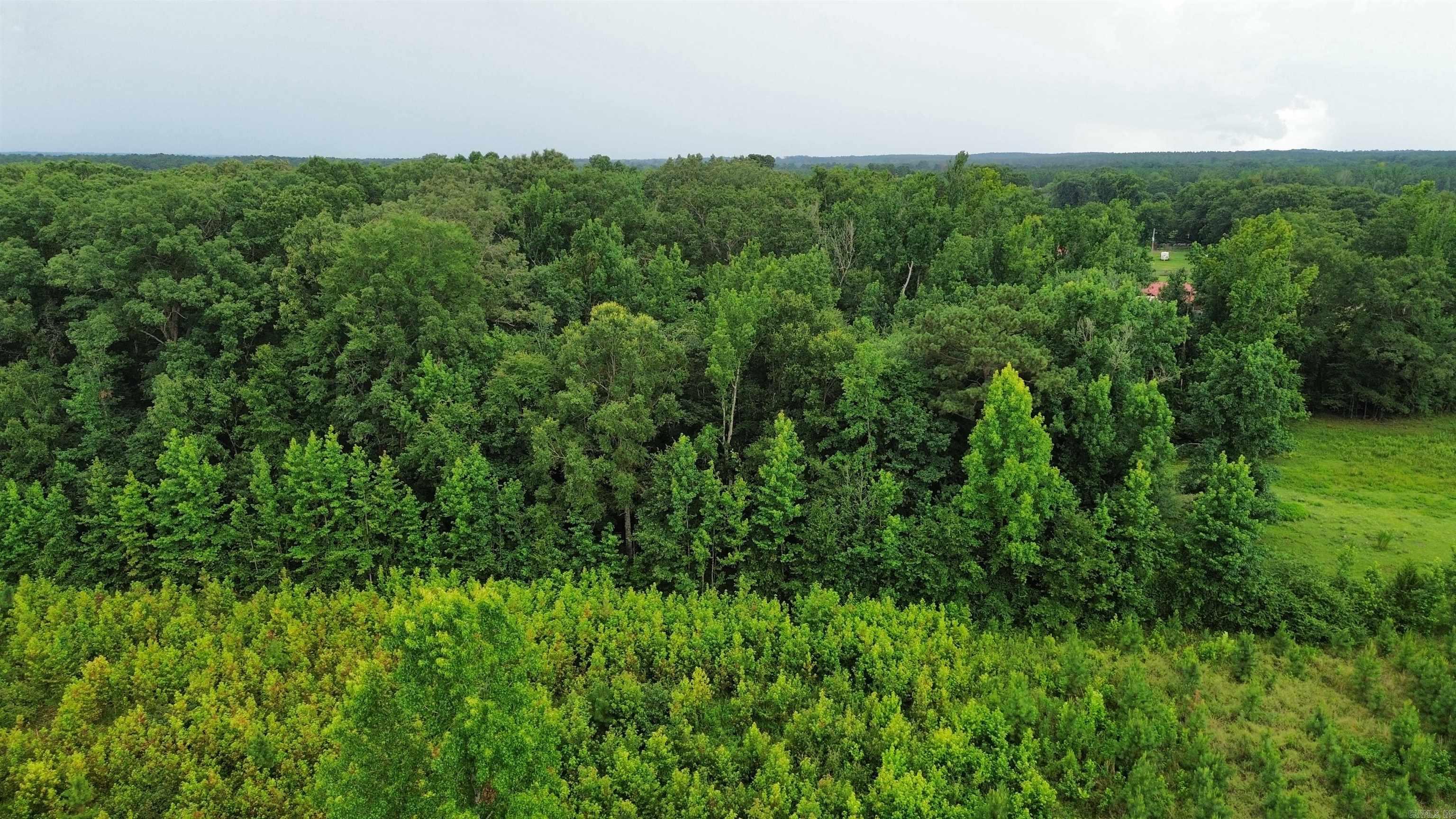 000 Sevier CR 279 / Greyland Rd.  Dierks, AR
