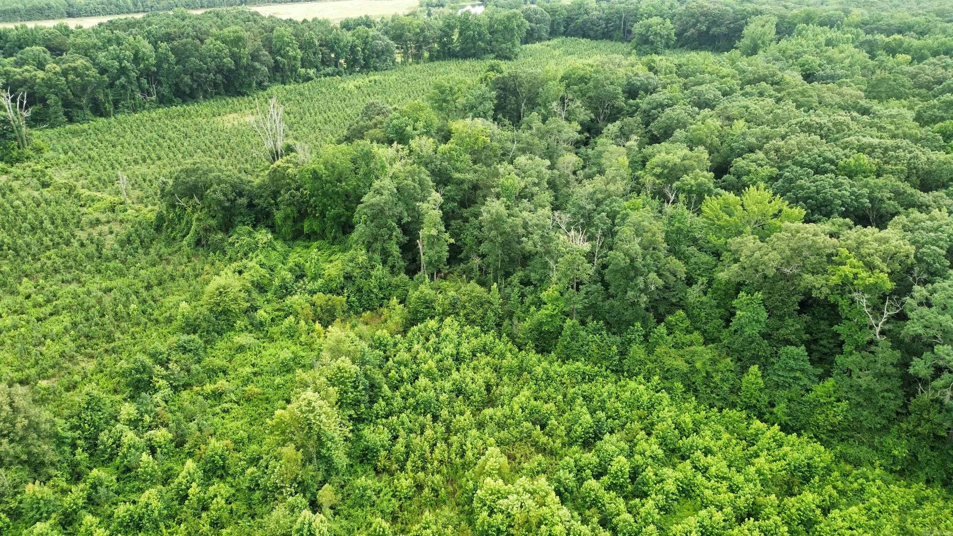 000 Sevier CR 279 / Greyland Rd.  Dierks, AR