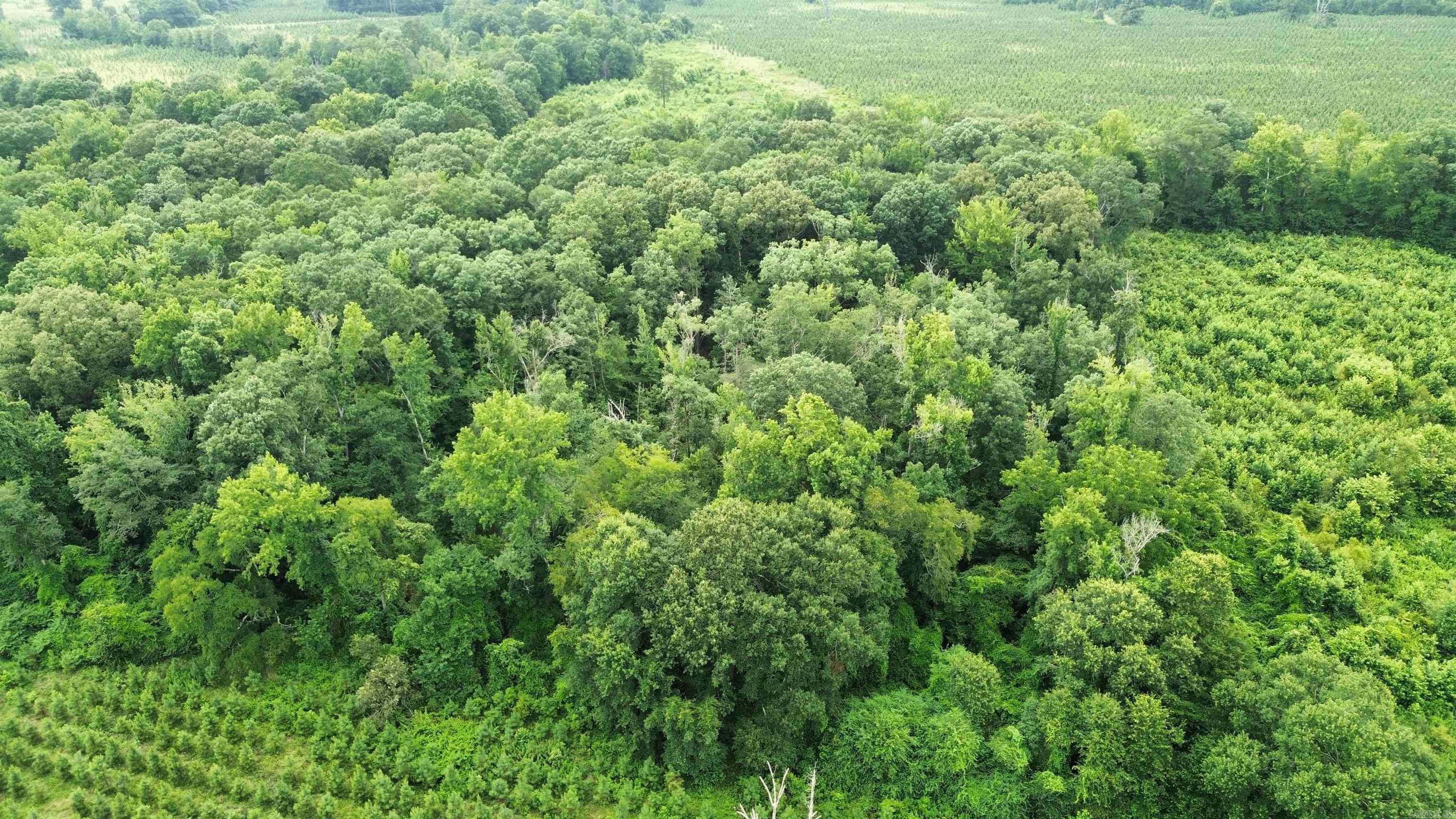000 Sevier CR 279 / Greyland Rd.  Dierks, AR