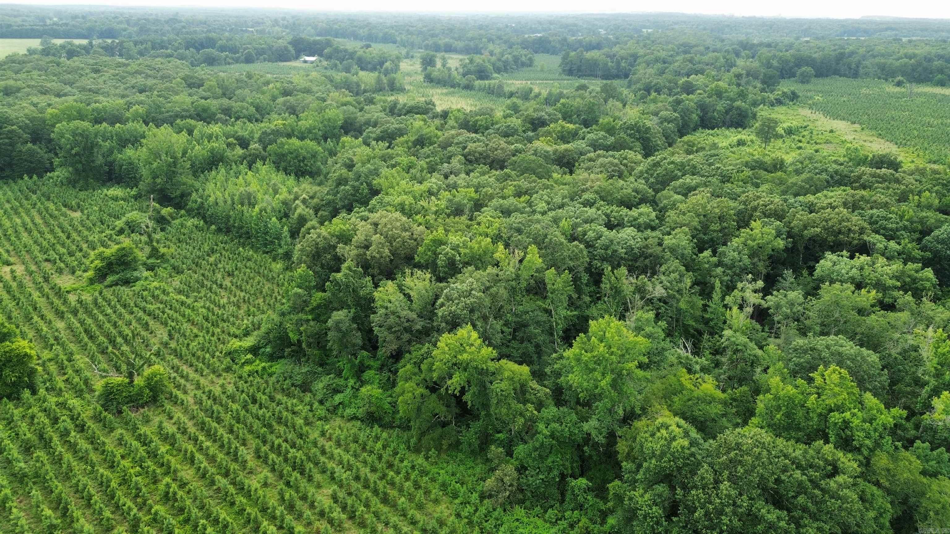 000 Sevier CR 279 / Greyland Rd.  Dierks, AR