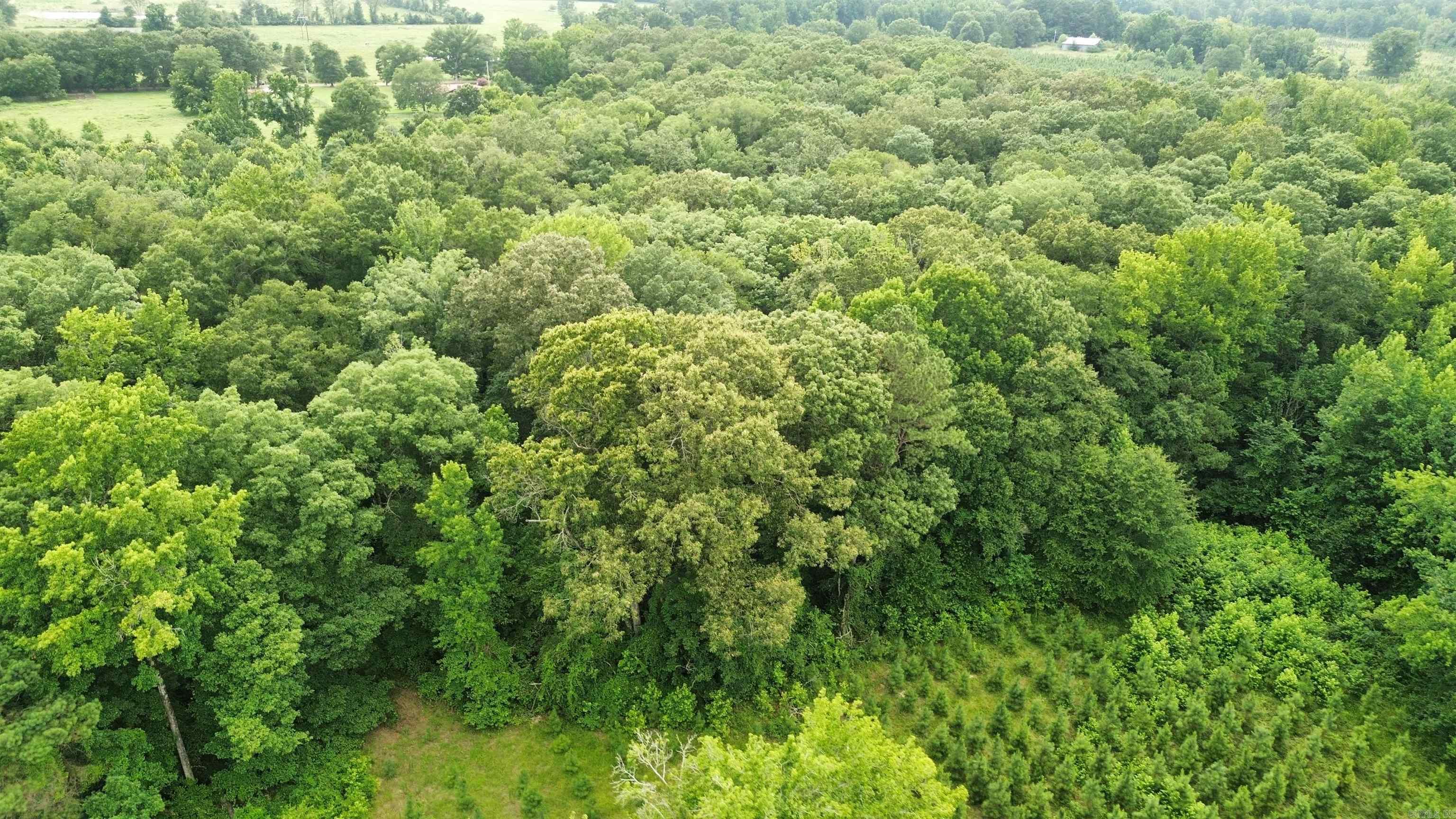 000 Sevier CR 279 / Greyland Rd.  Dierks, AR