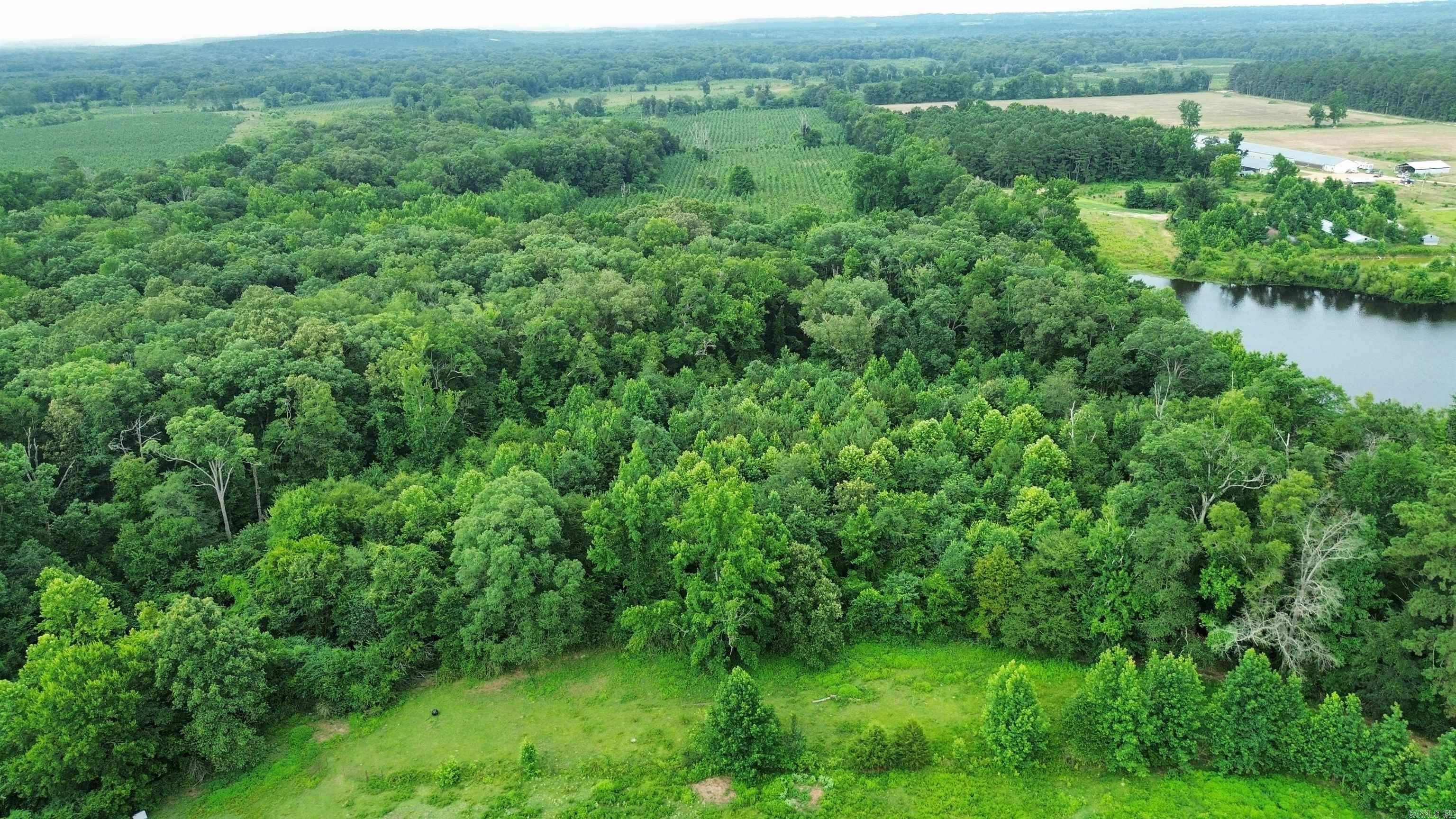 000 Sevier CR 279 / Greyland Rd.  Dierks, AR