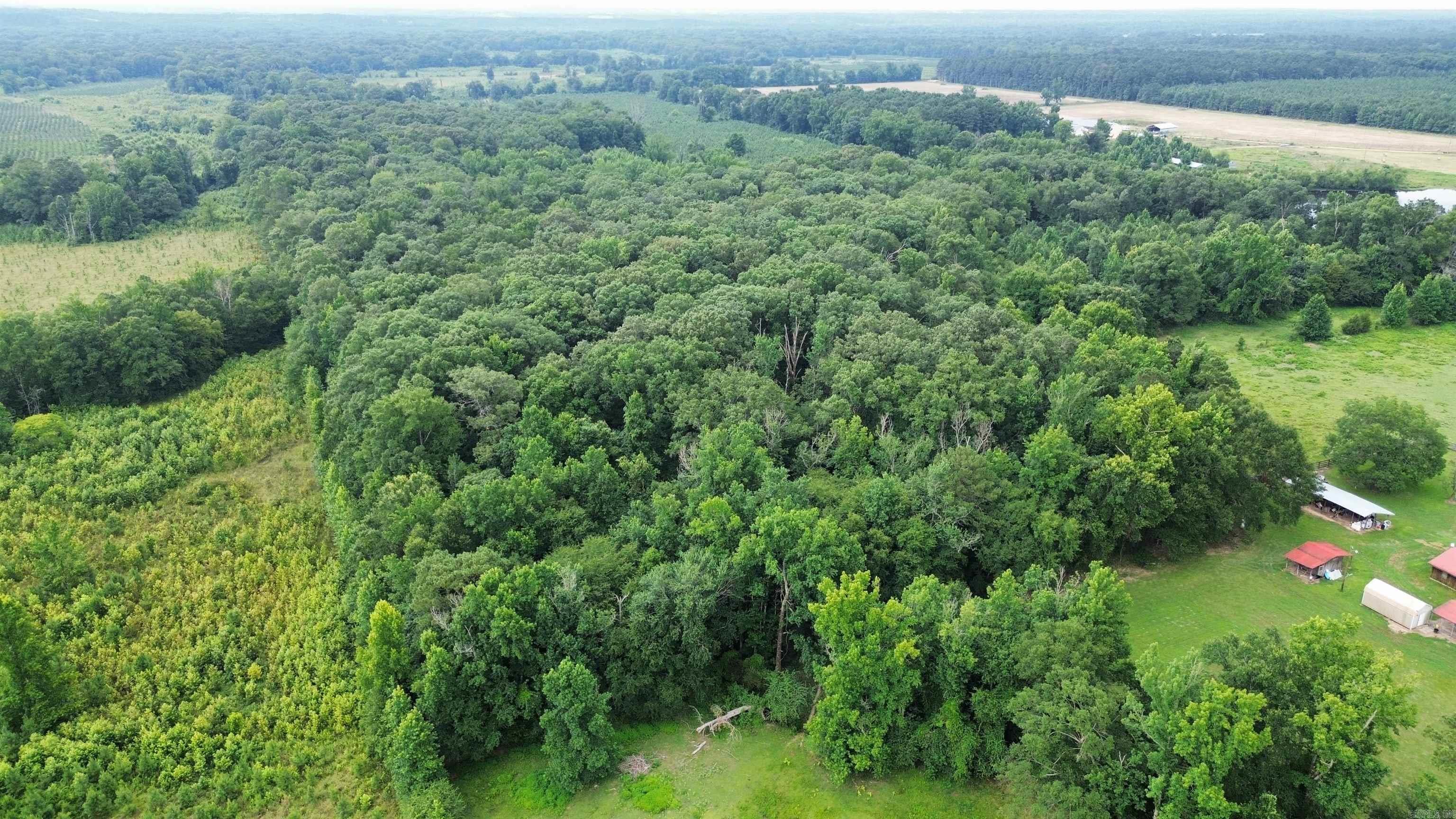 000 Sevier CR 279 / Greyland Rd.  Dierks, AR