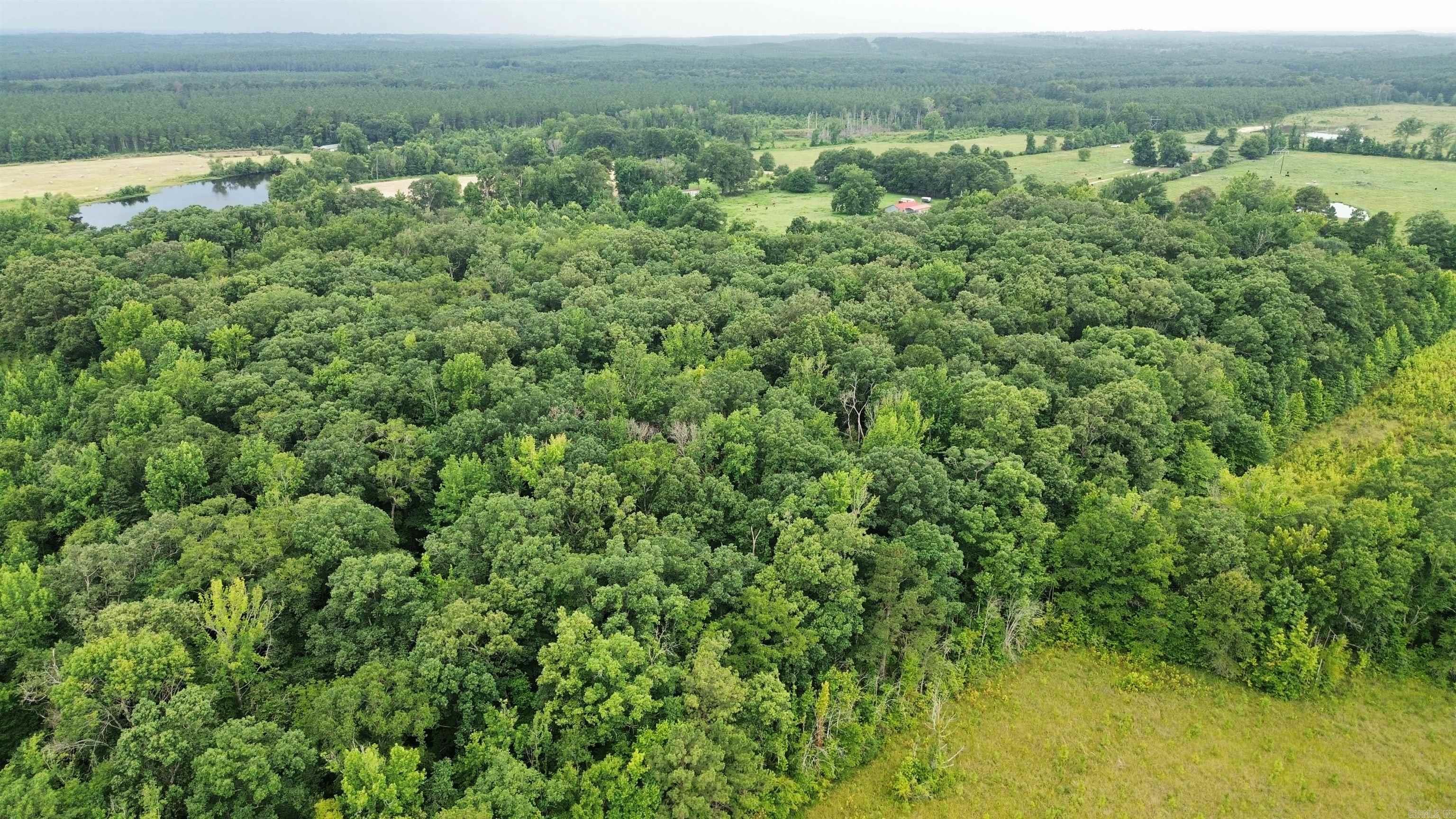 000 Sevier CR 279 / Greyland Rd.  Dierks, AR