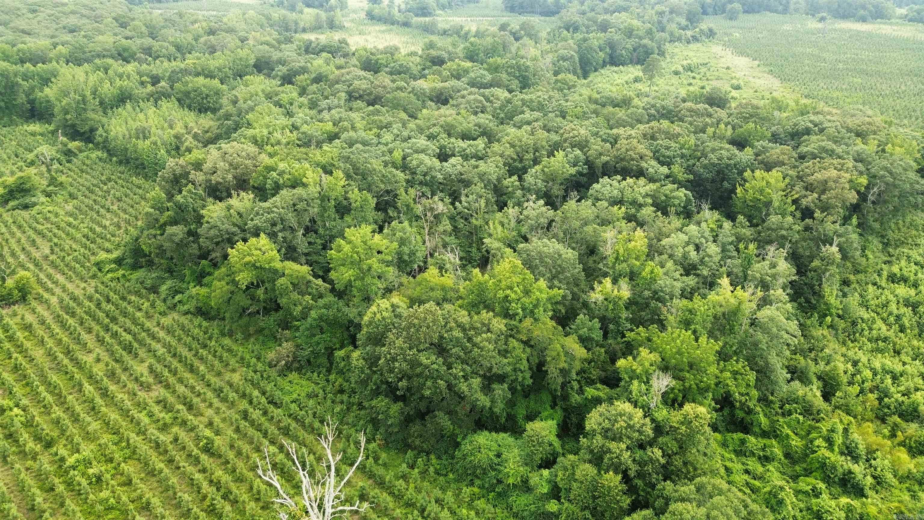 000 Sevier CR 279 / Greyland Rd.  Dierks, AR