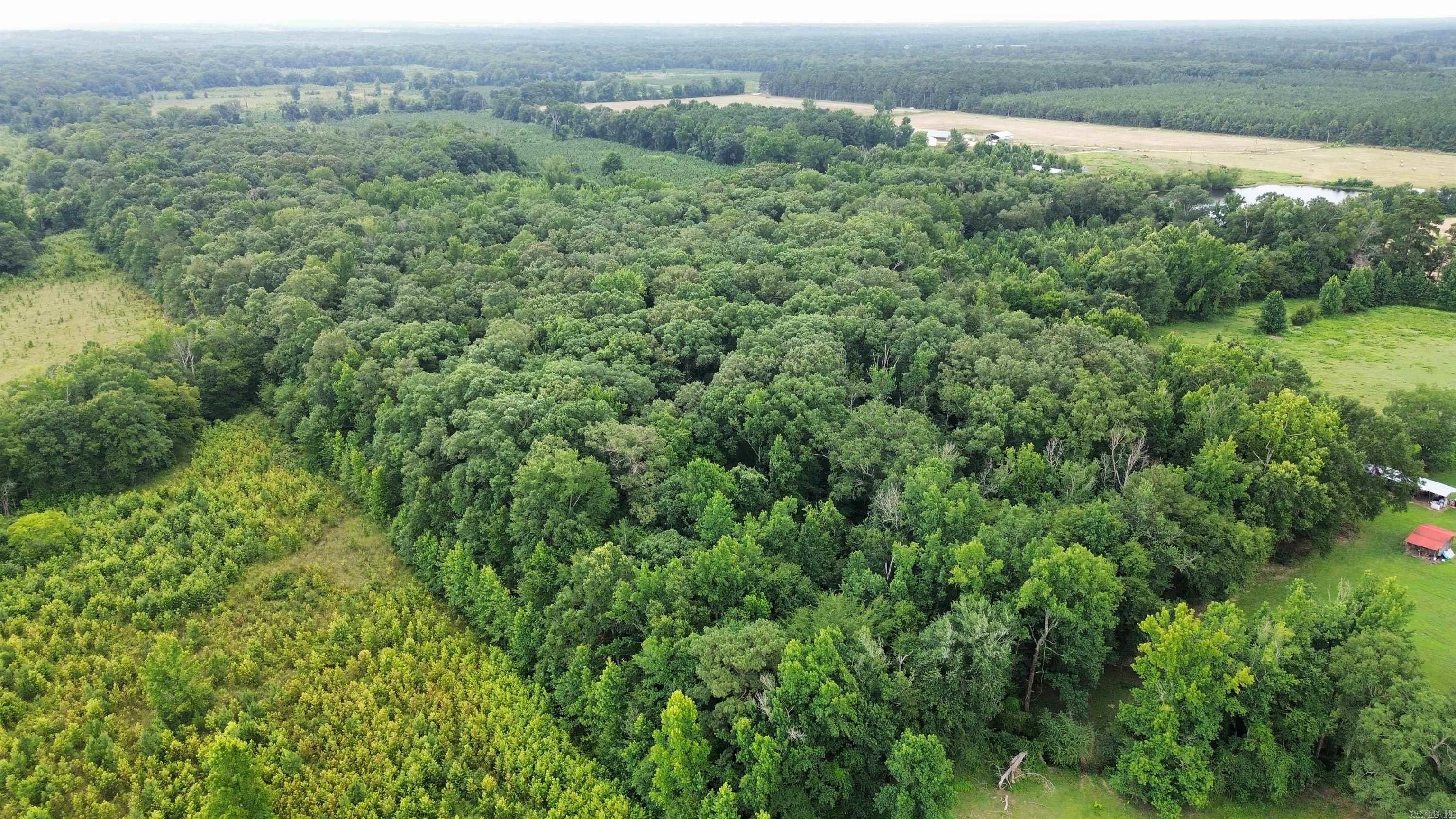 000 Sevier CR 279 / Greyland Rd.  Dierks, AR