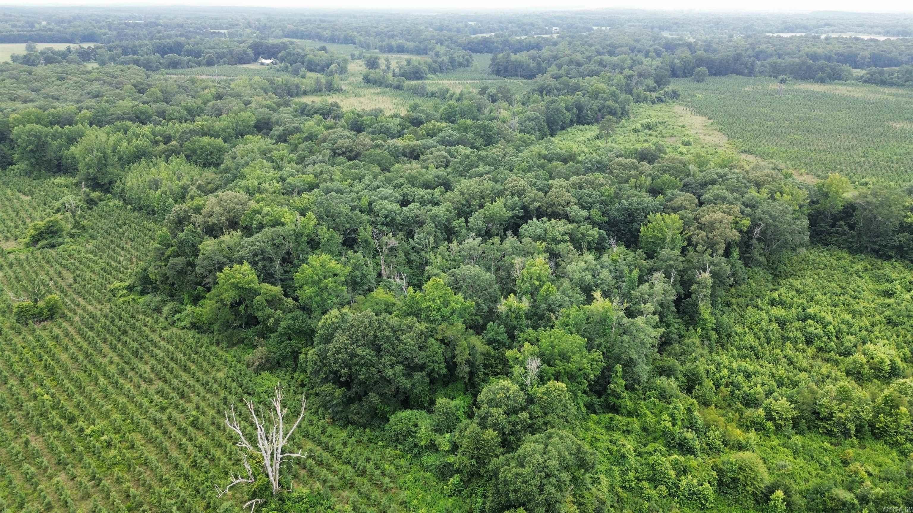 000 Sevier CR 279 / Greyland Rd.  Dierks, AR