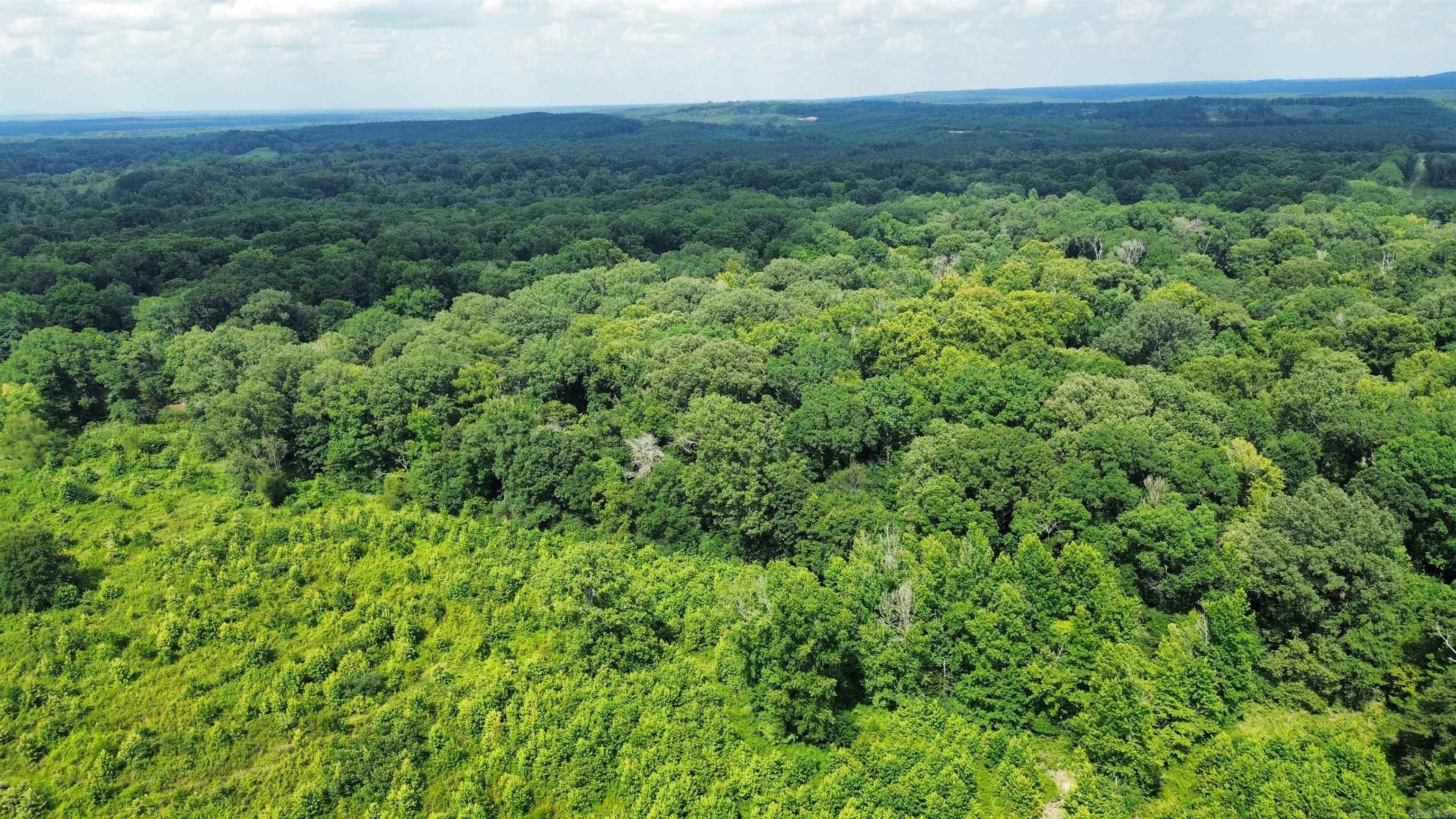 000 Sevier CR 25 / Greyland Rd.  Dierks, AR