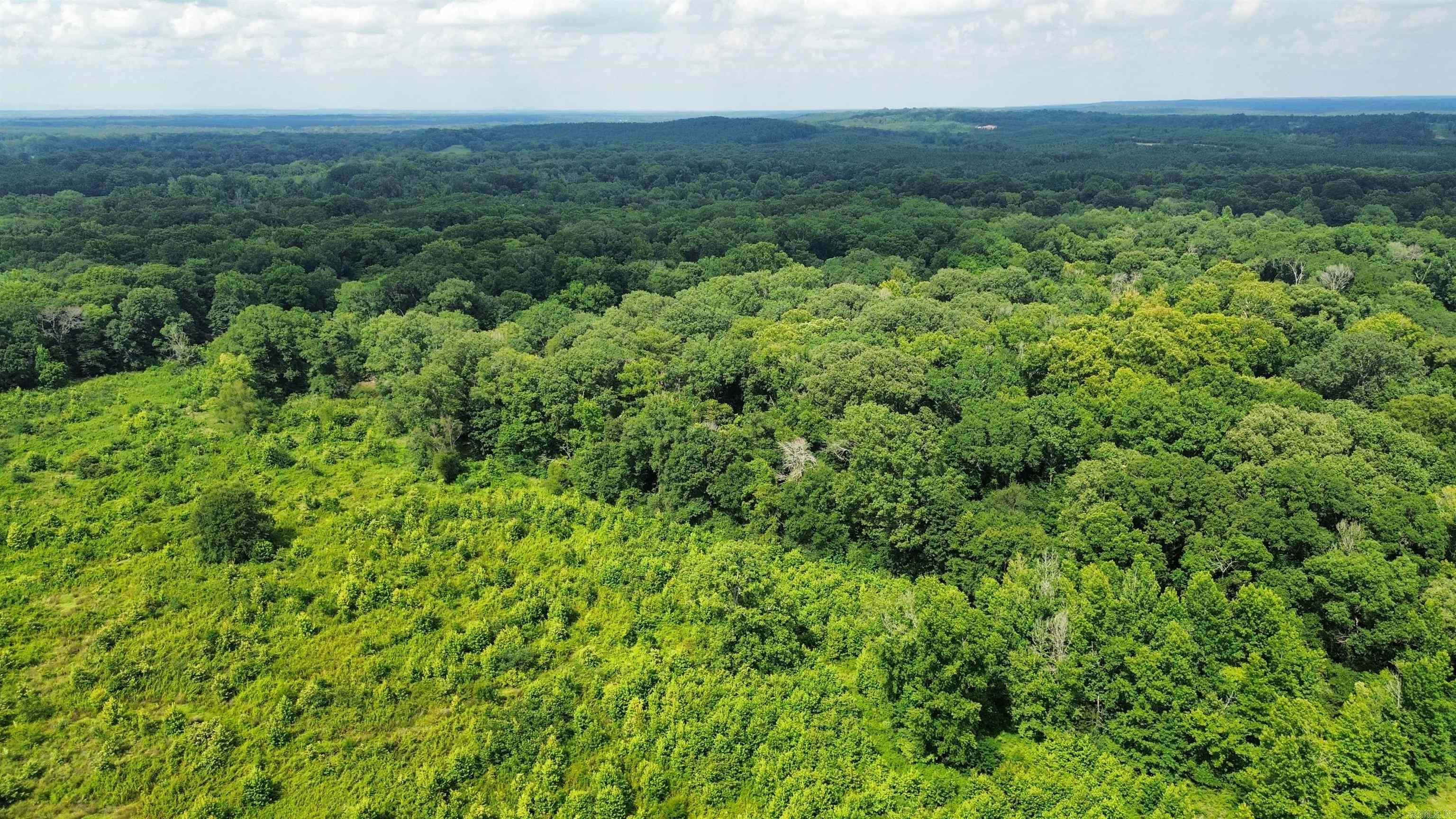000 Sevier CR 25 / Greyland Rd.  Dierks, AR