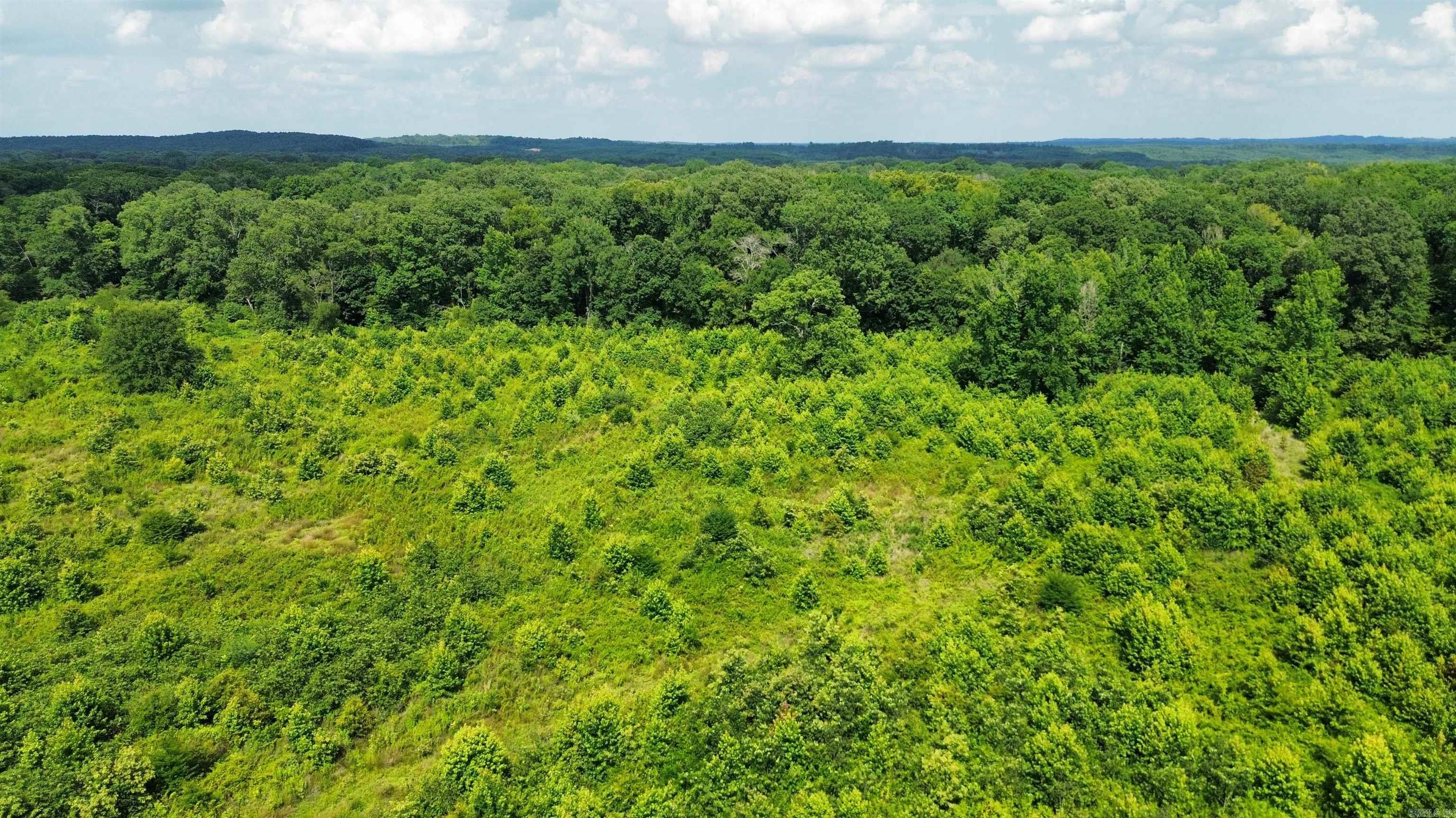 000 Sevier CR 25 / Greyland Rd.  Dierks, AR