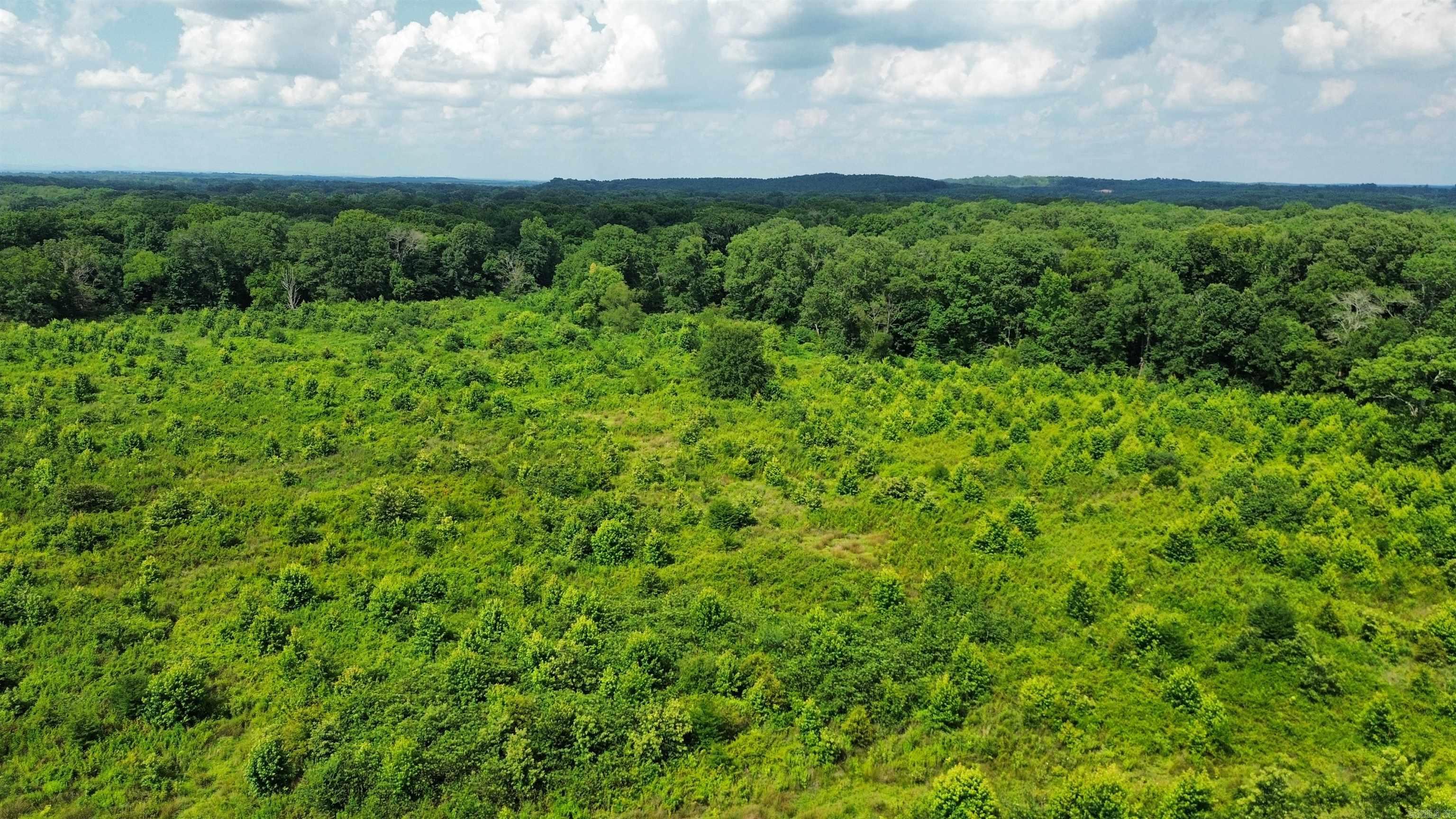 000 Sevier CR 25 / Greyland Rd.  Dierks, AR