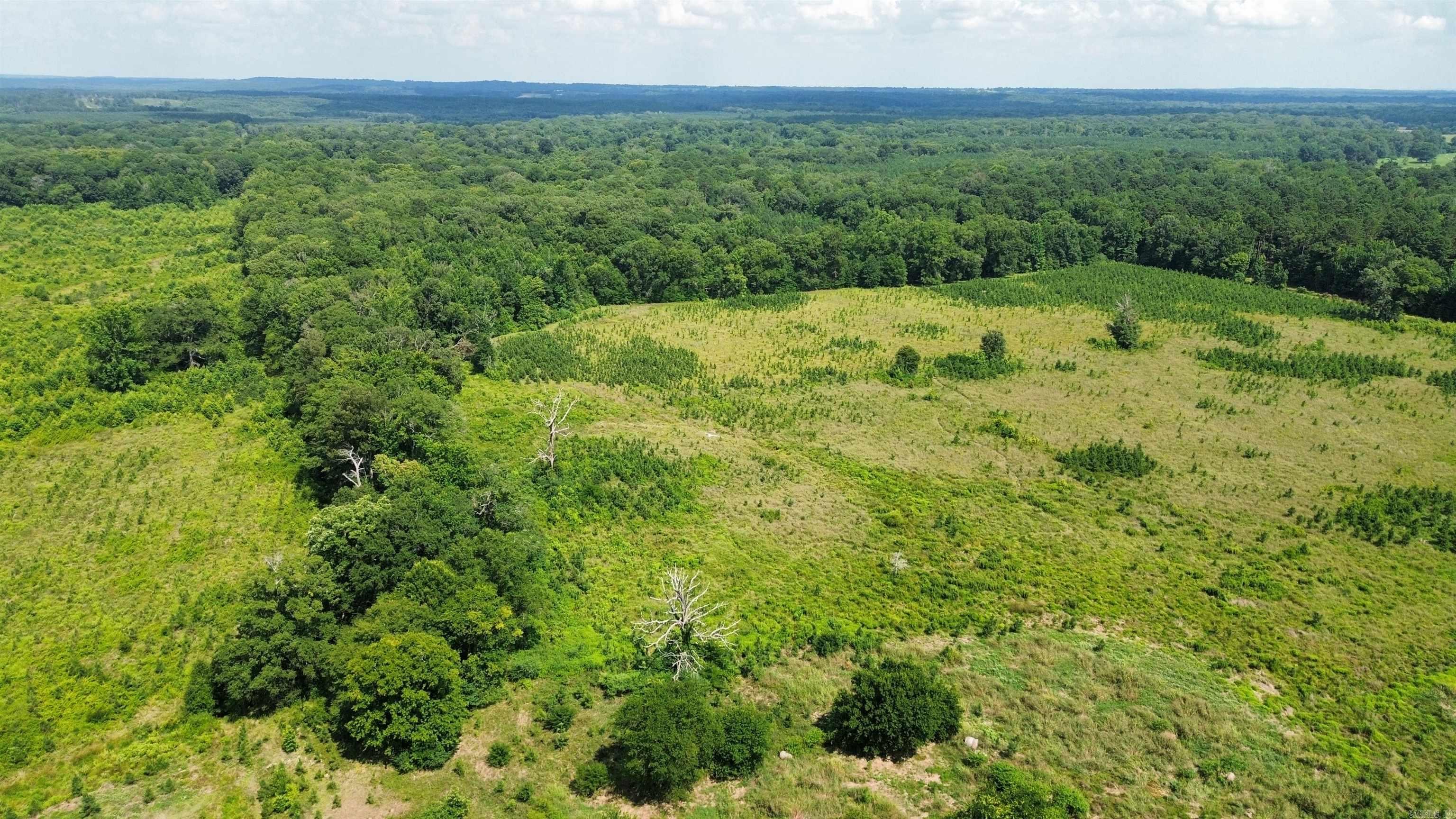 000 Sevier CR 25 / Greyland Rd.  Dierks, AR