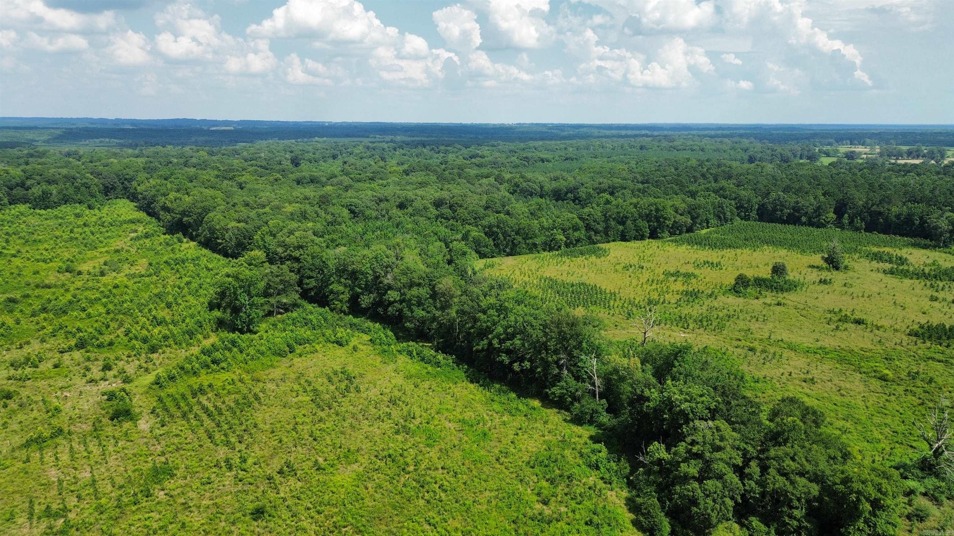 000 Sevier CR 25 / Greyland Rd.  Dierks, AR
