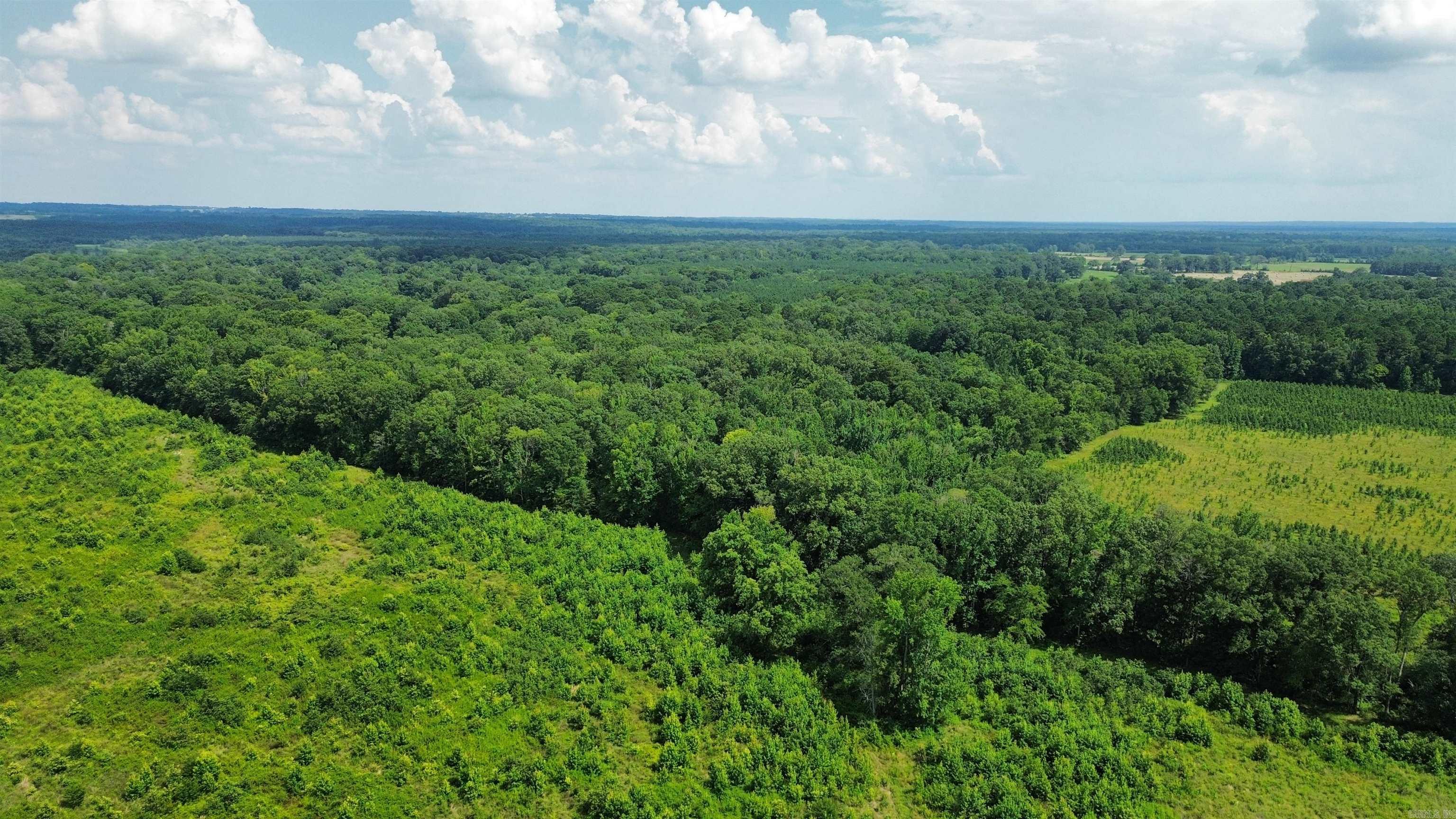 000 Sevier CR 25 / Greyland Rd.  Dierks, AR