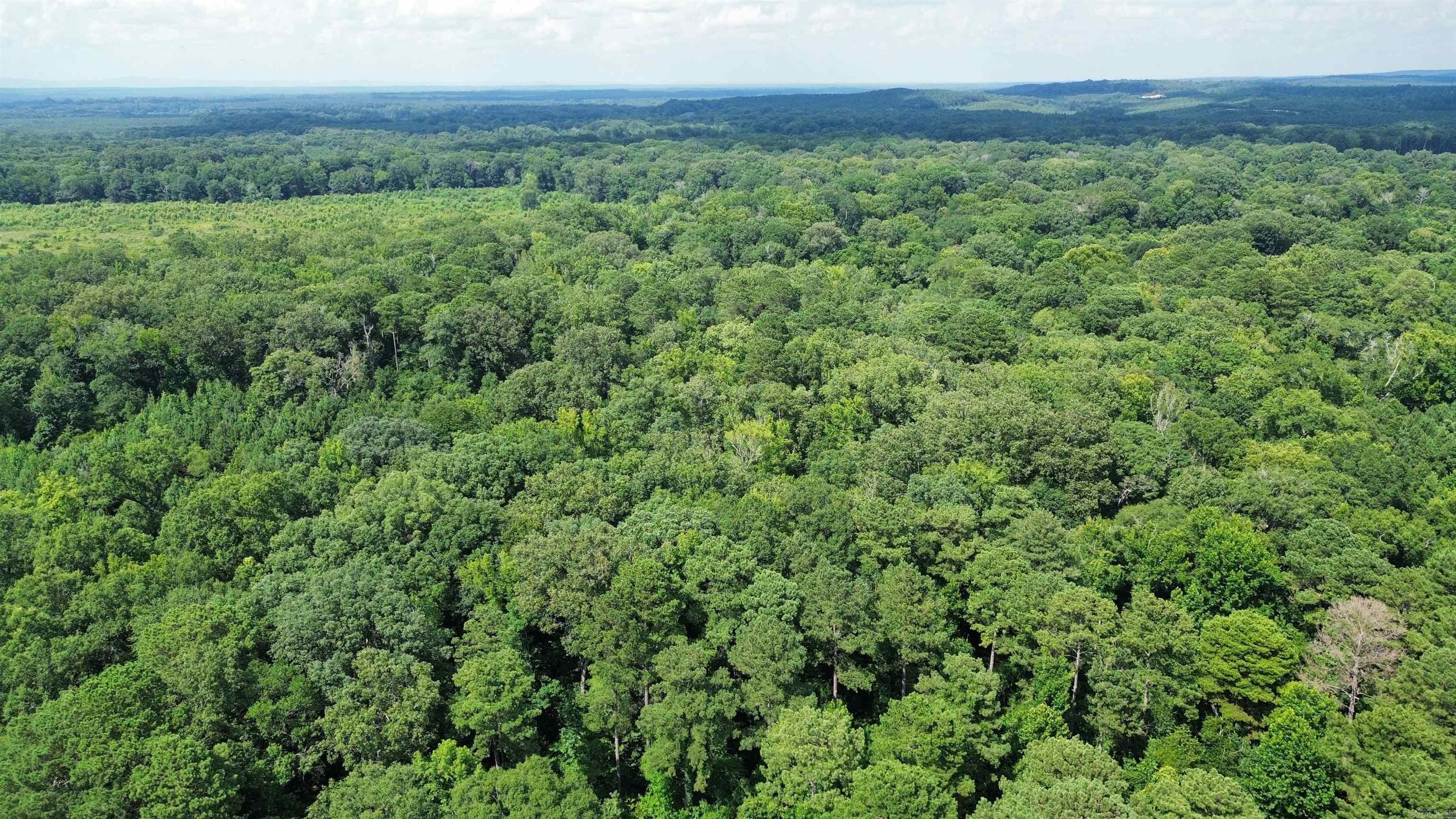 000 Sevier CR 25 / Greyland Rd.  Dierks, AR