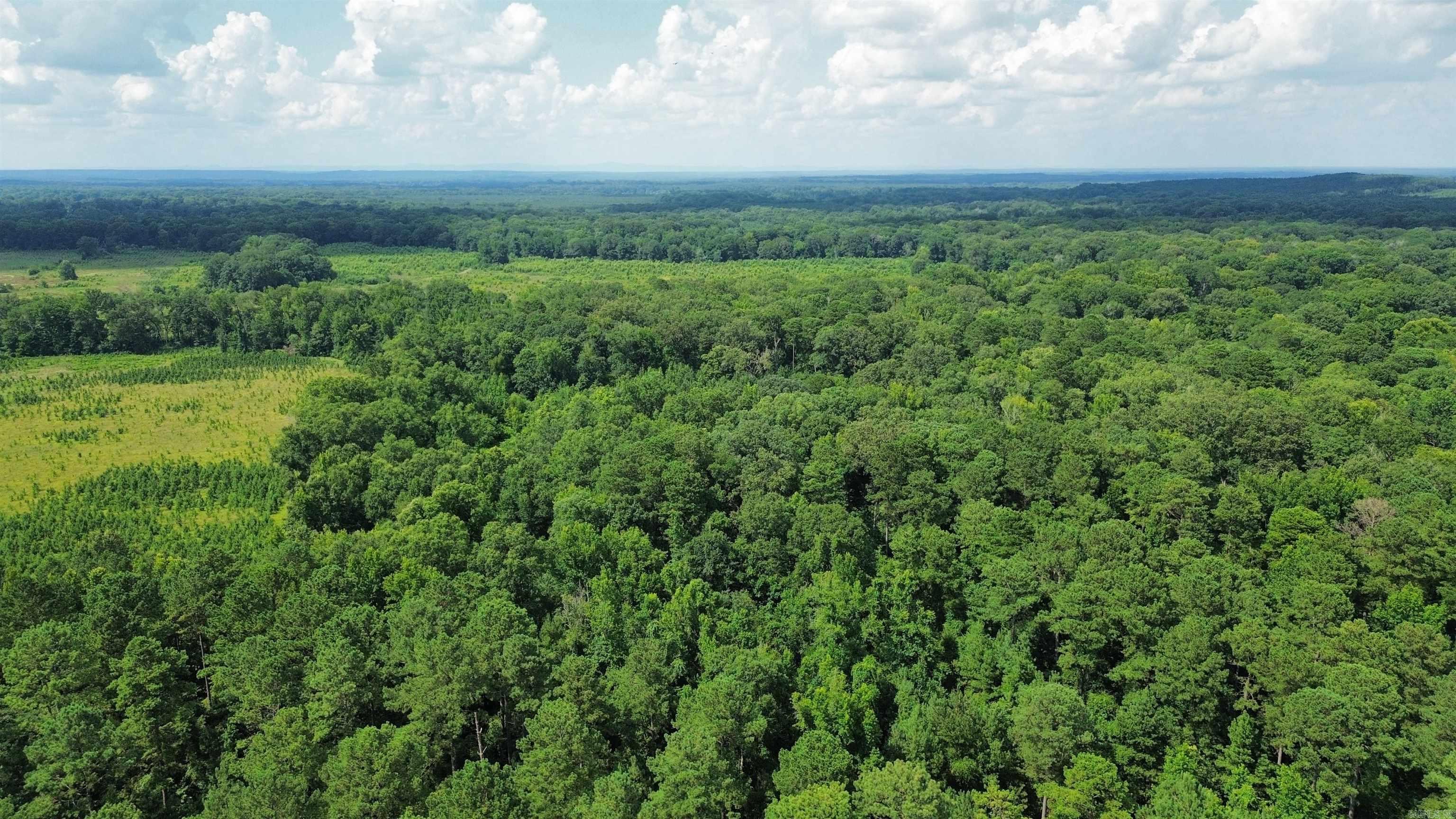 000 Sevier CR 25 / Greyland Rd.  Dierks, AR