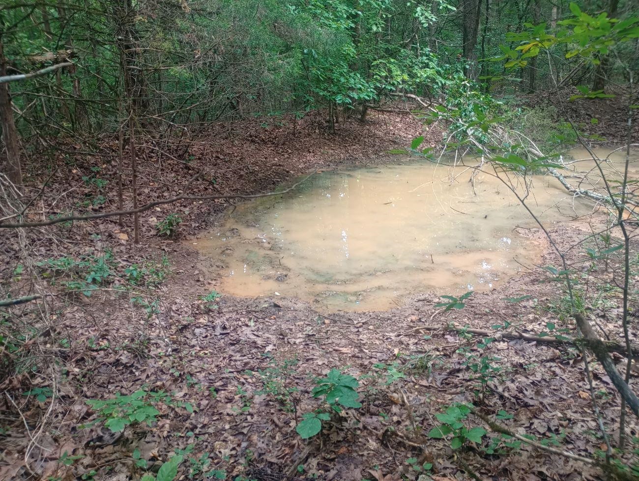 Off of Lawrence 106  Ravenden, AR