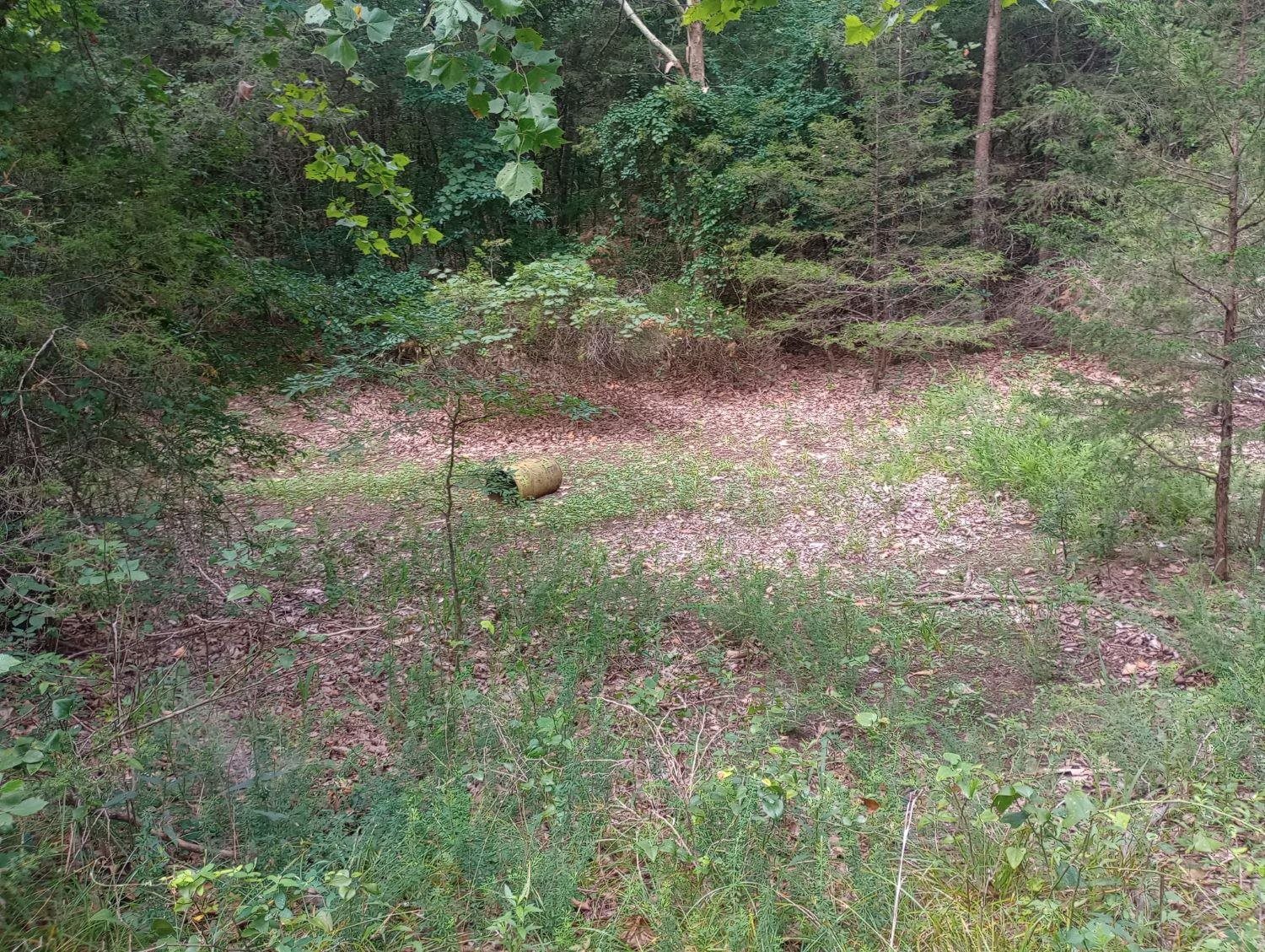 Off of Lawrence 106  Ravenden, AR