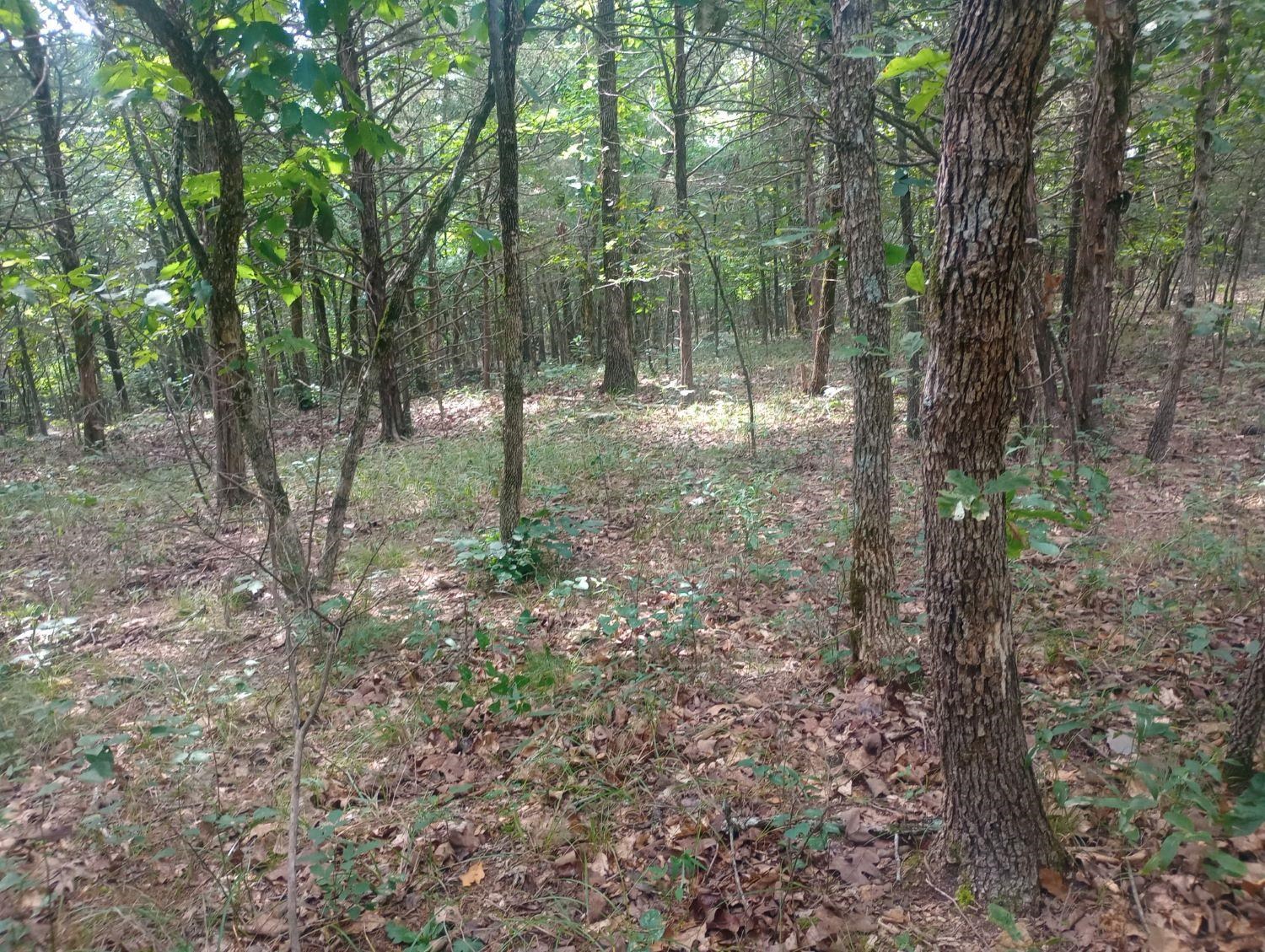 Off of Lawrence 106  Ravenden, AR