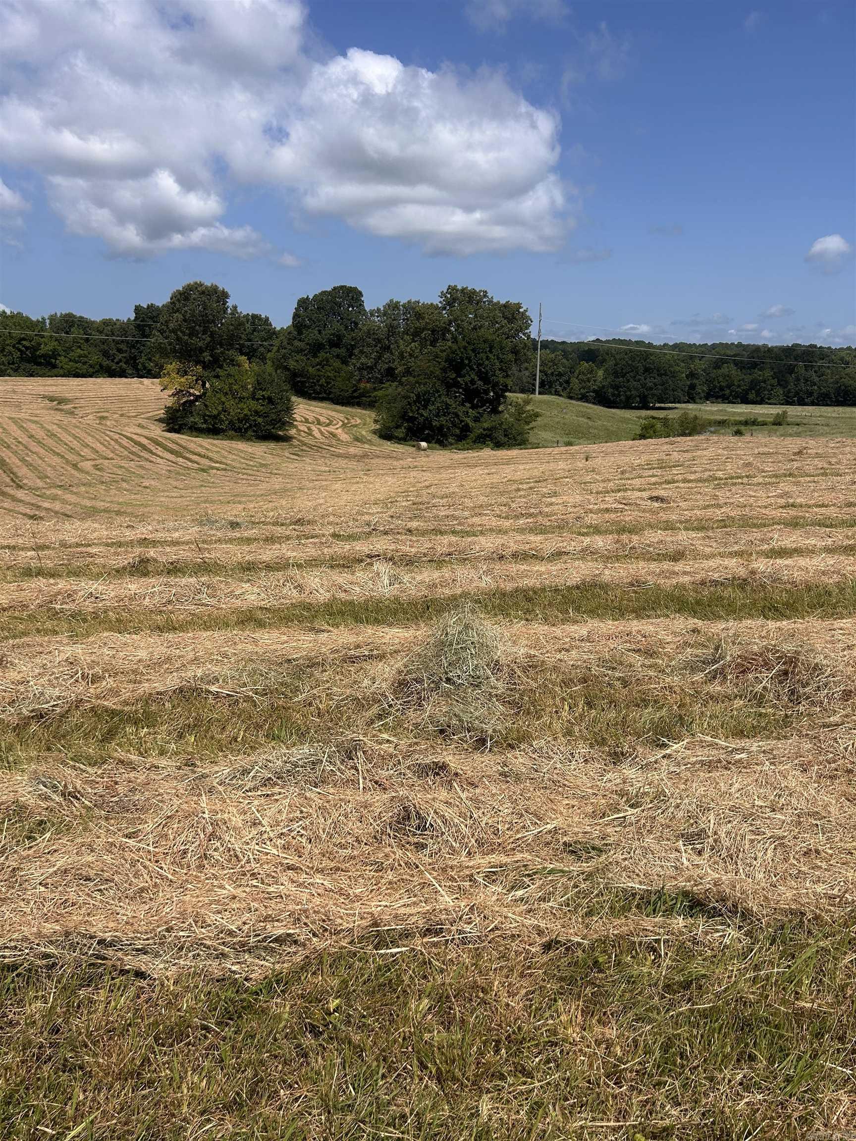 186 CR 346  Piggott, AR