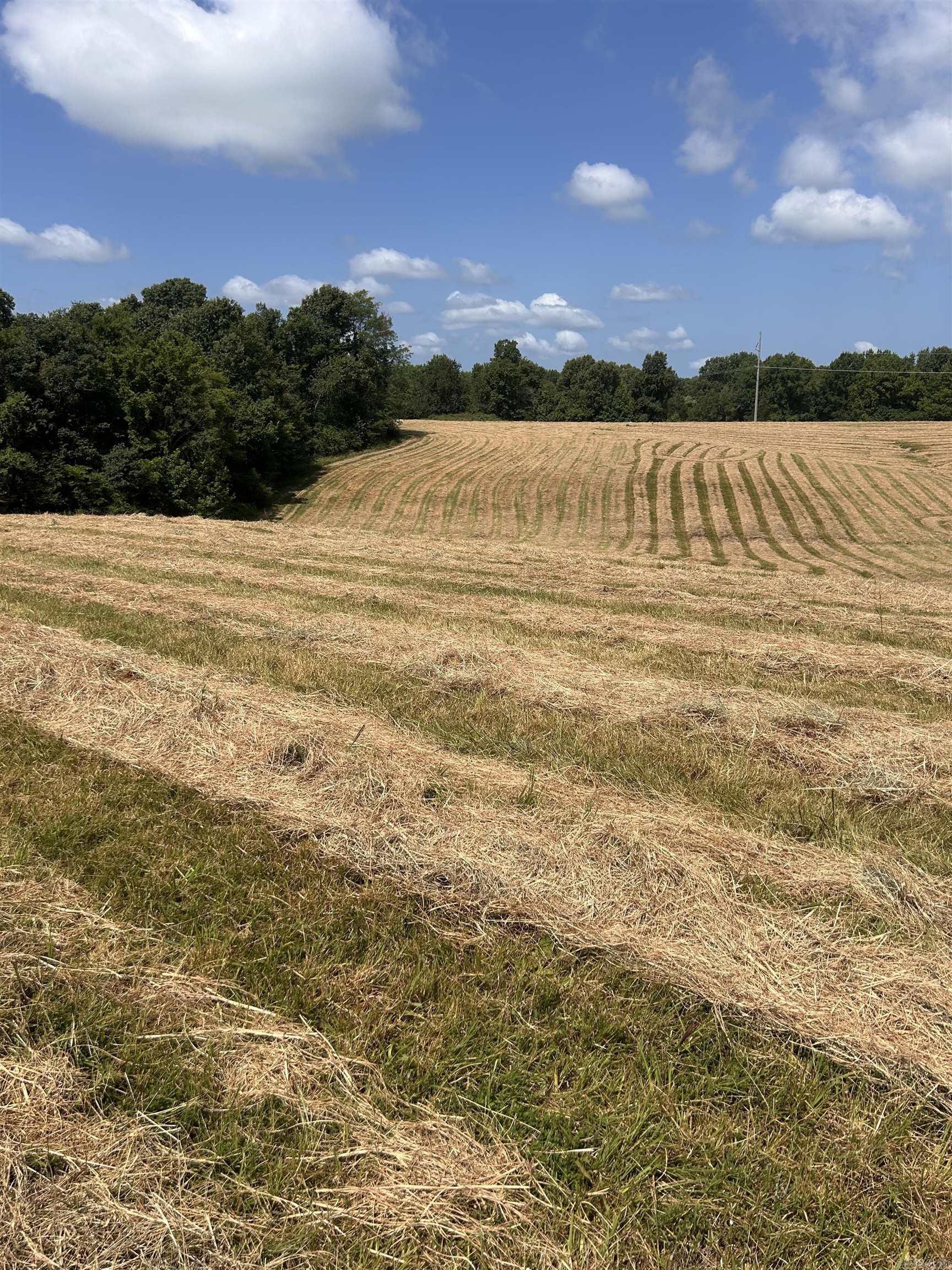 186 CR 346  Piggott, AR
