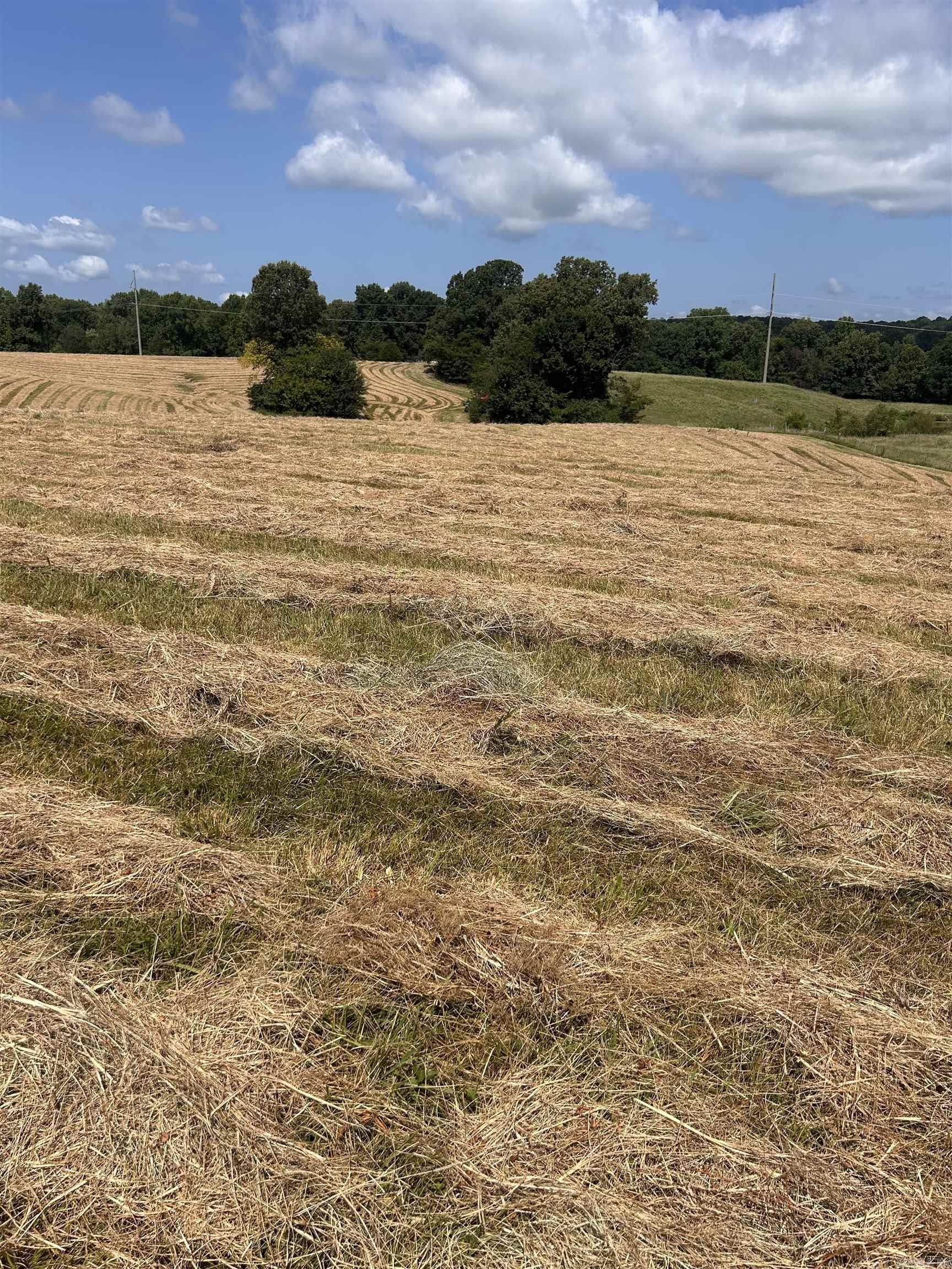 186 CR 346  Piggott, AR