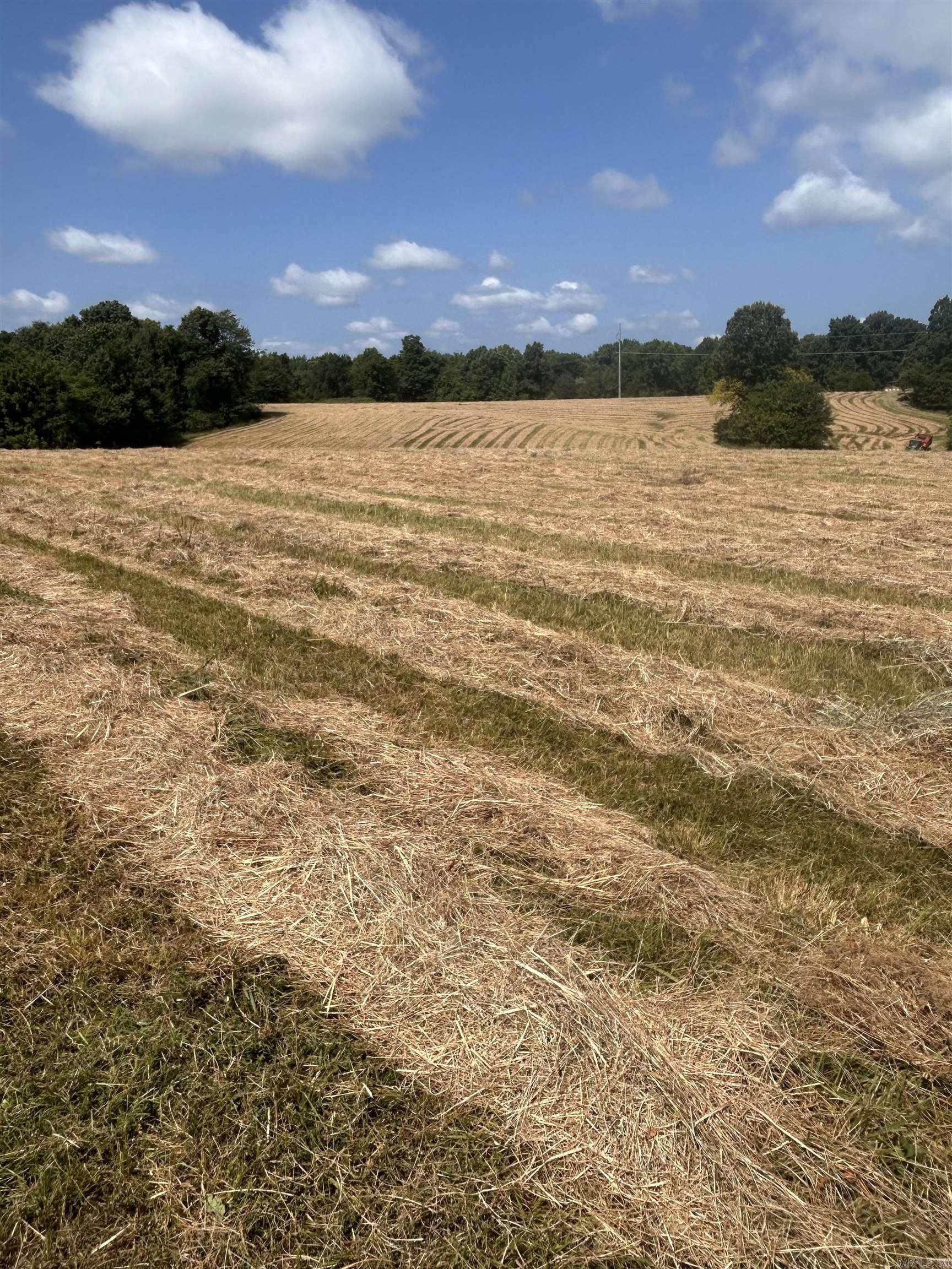 186 CR 346  Piggott, AR