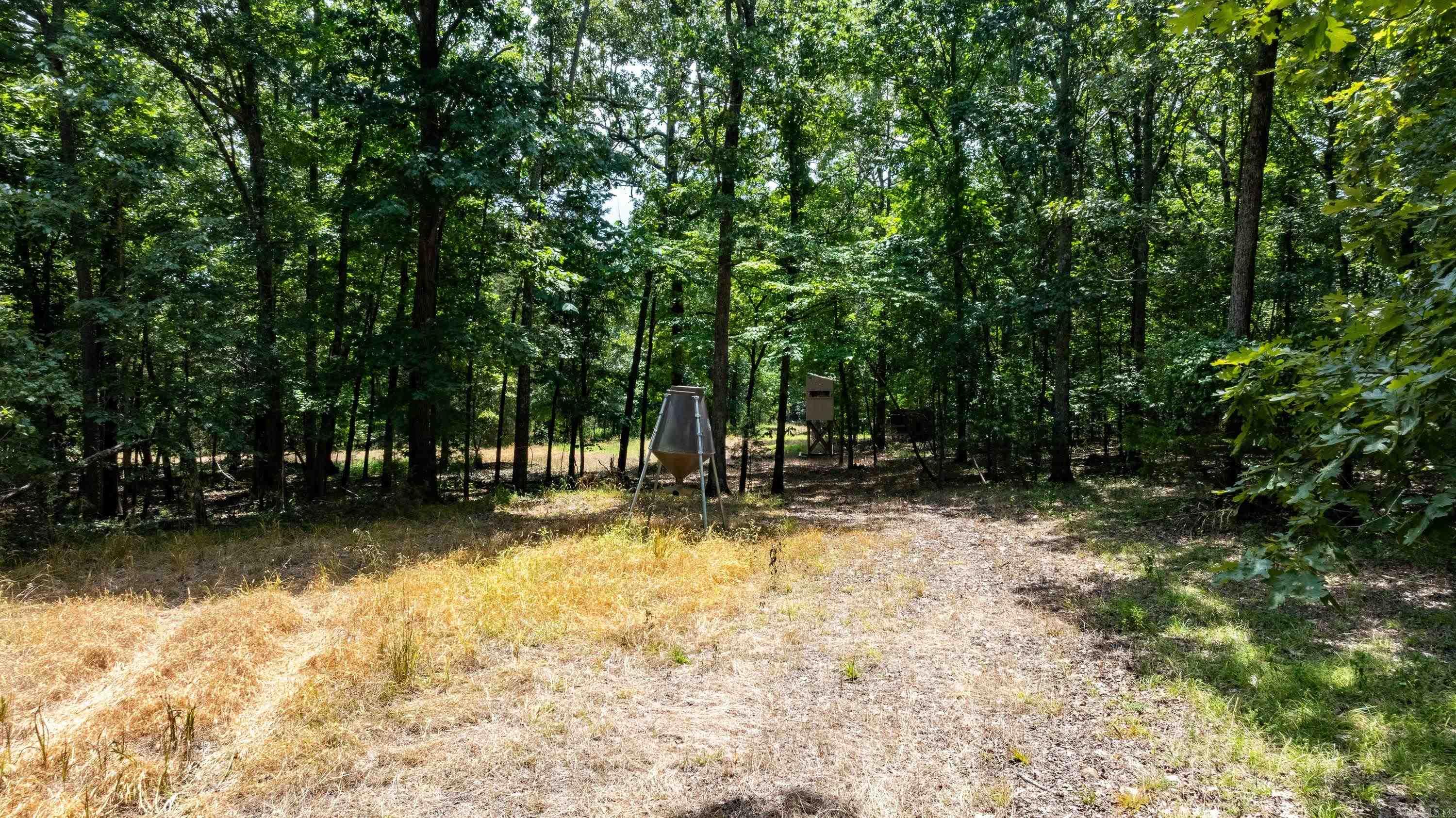 0 Northwoods N Lane  Cave City, AR