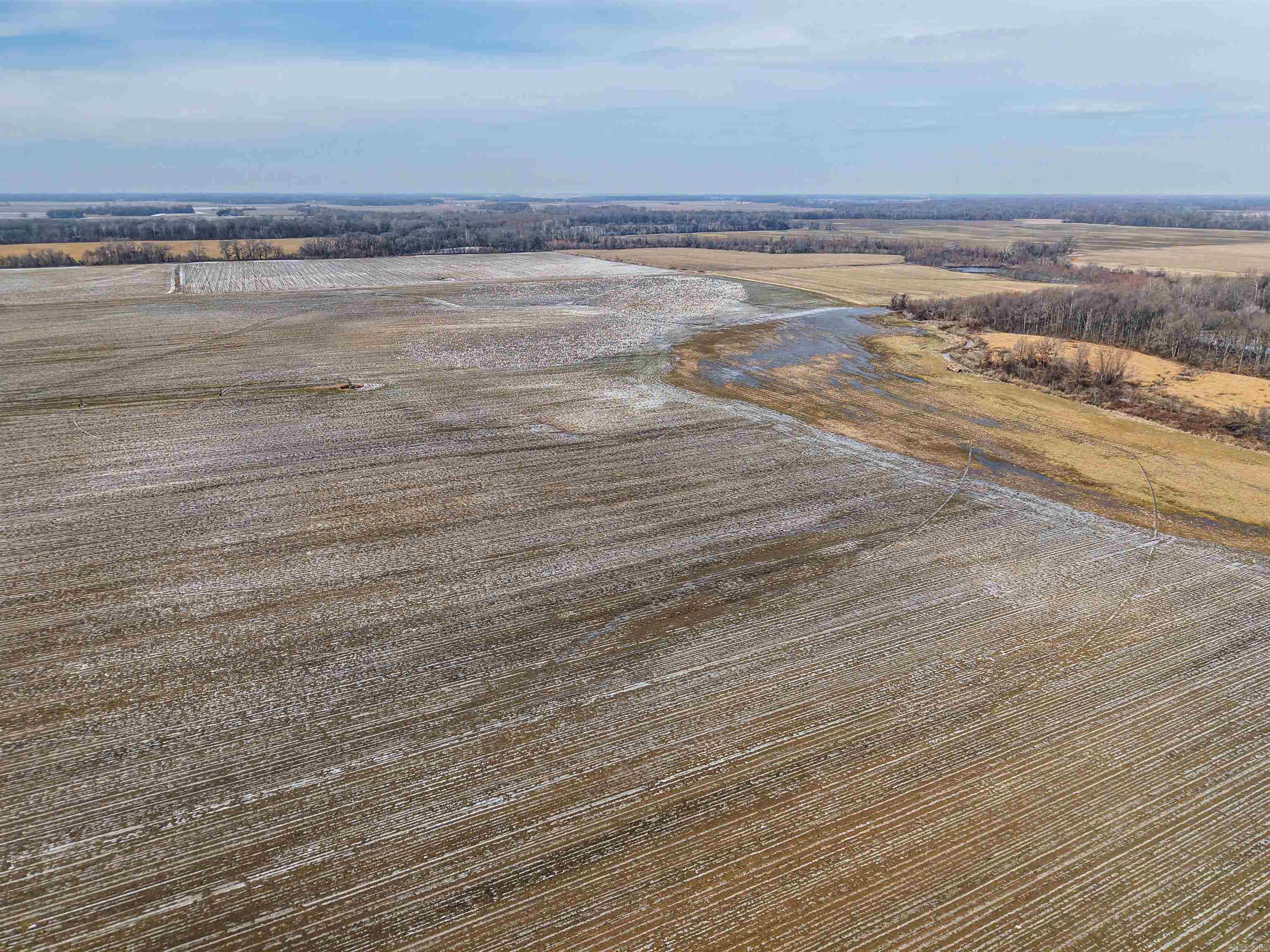  CR  Poplar Gro, AR