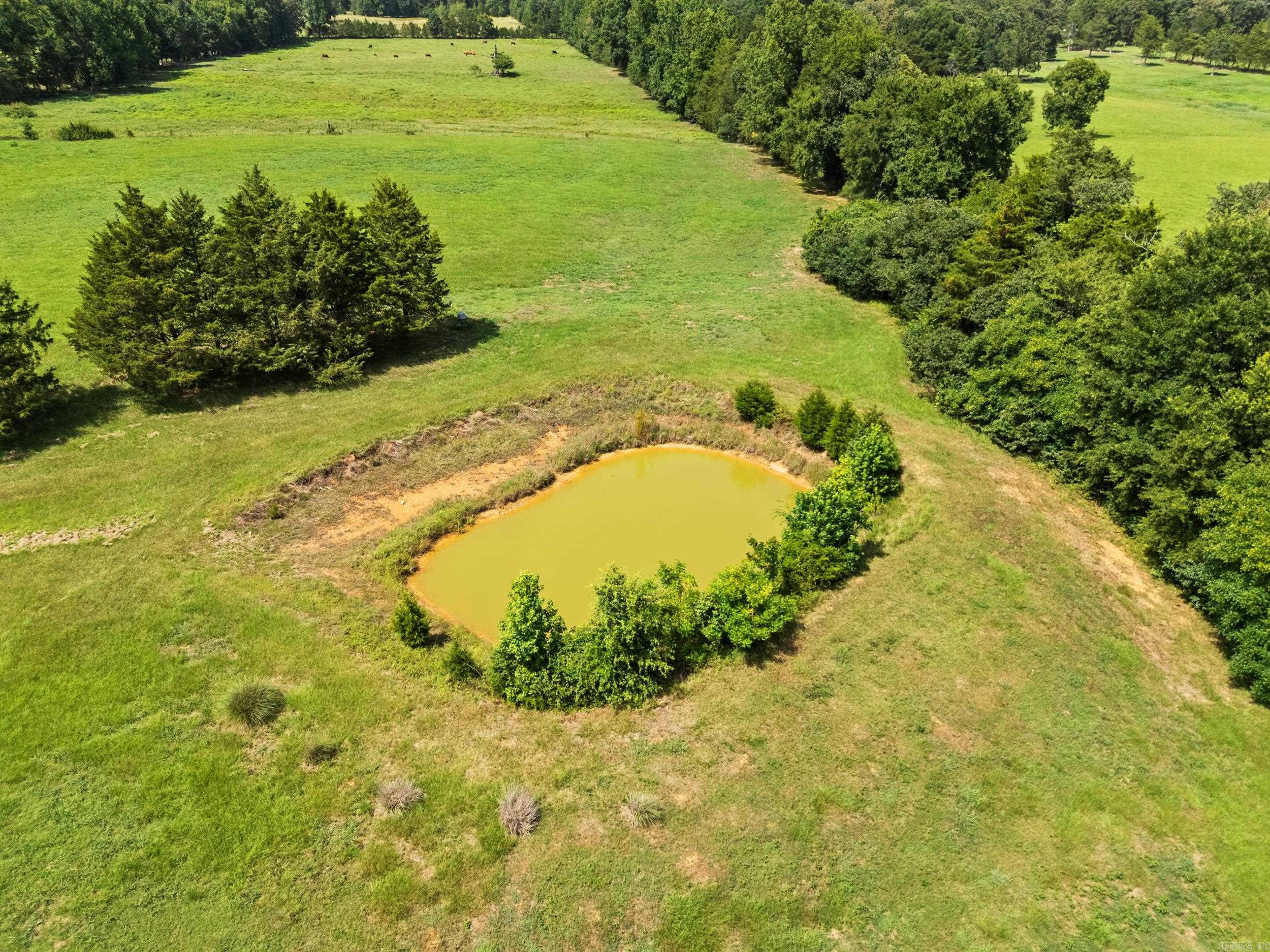 494 Bethel  Bigelow, AR