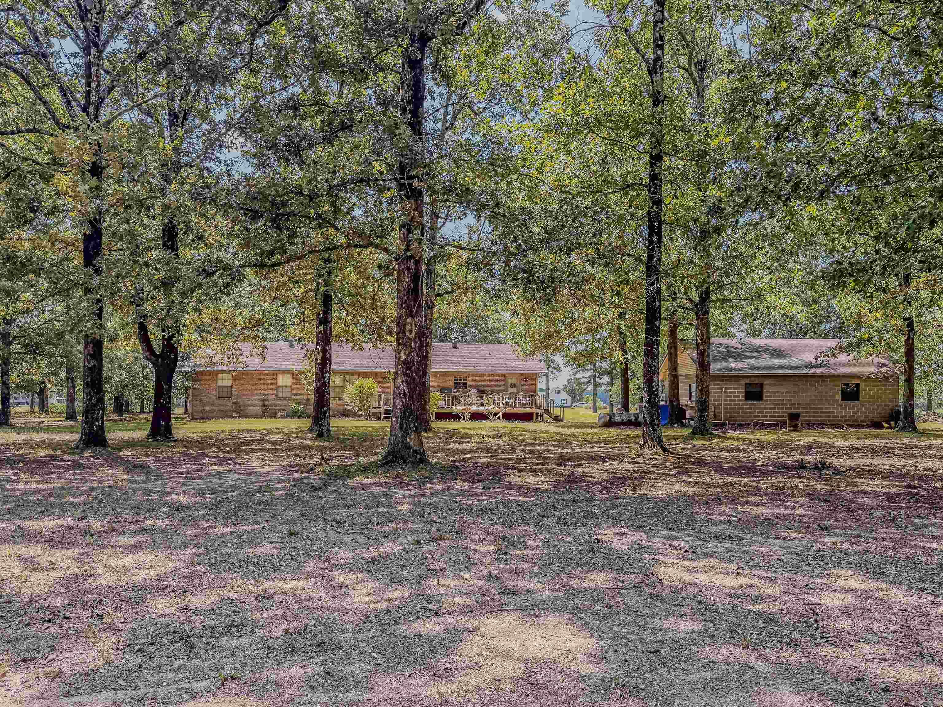 2100 Greene 514  Paragould, AR