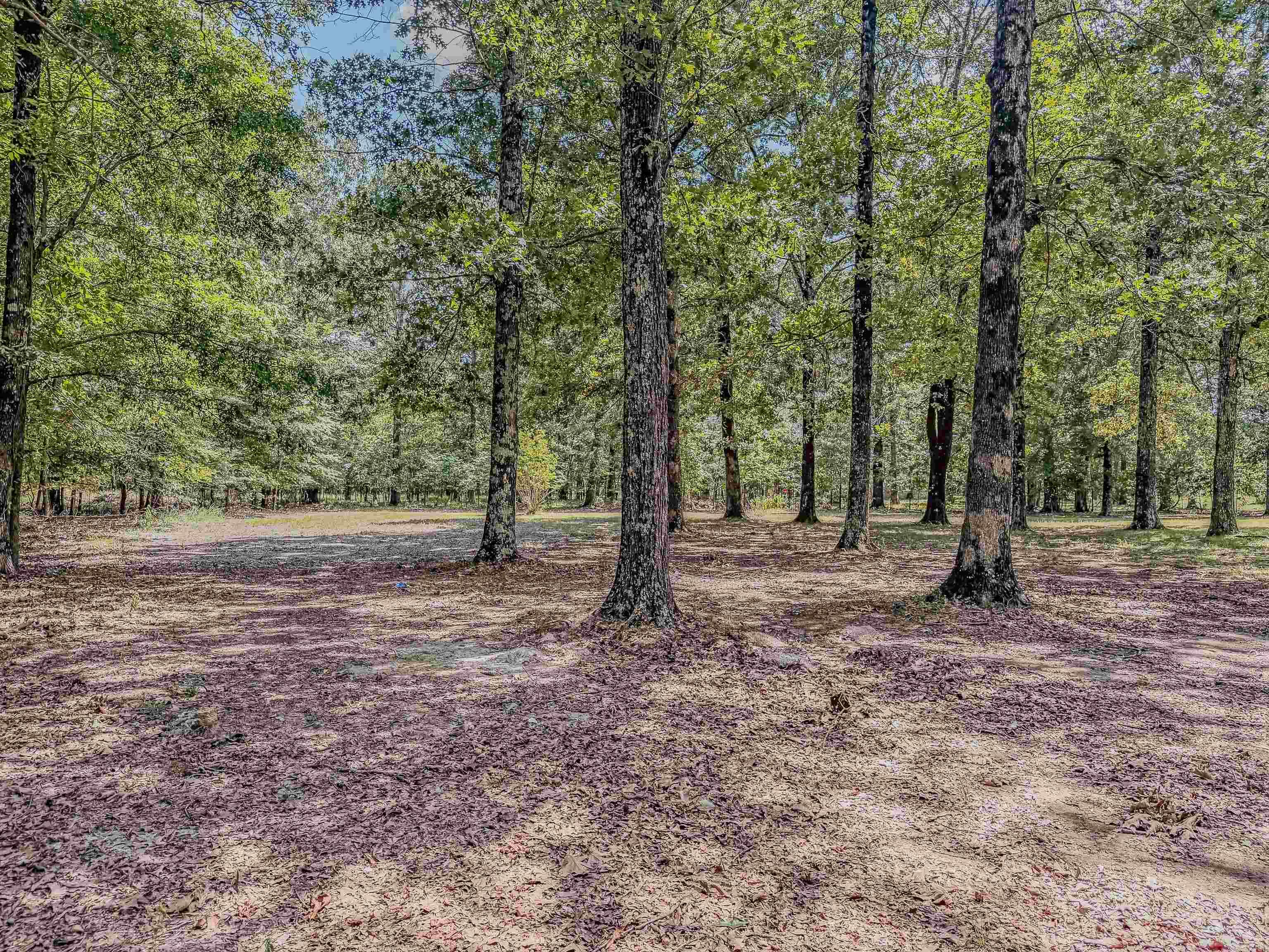 2100 Greene 514  Paragould, AR