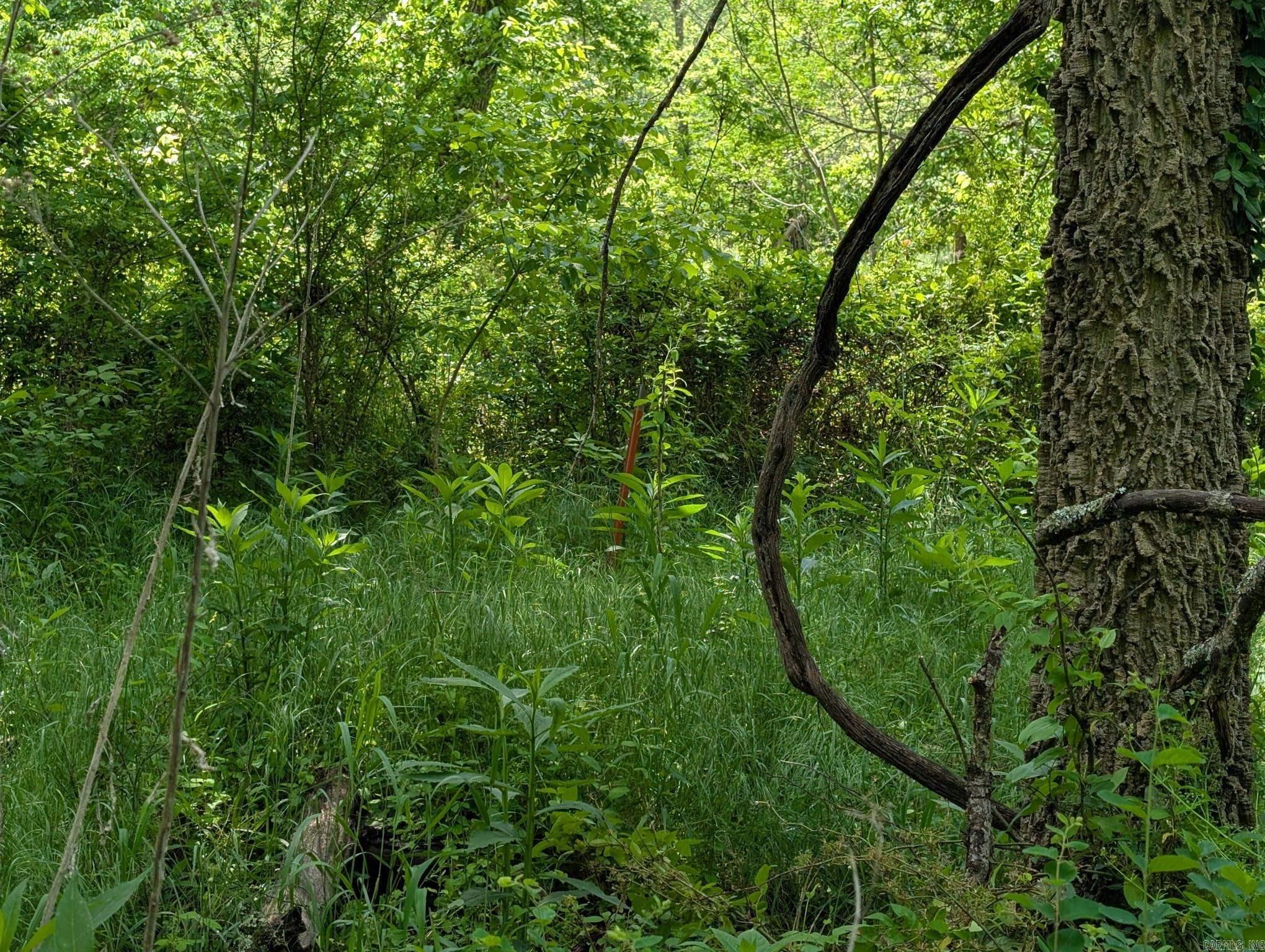 Lot 29 A Spring  Bentonville, AR