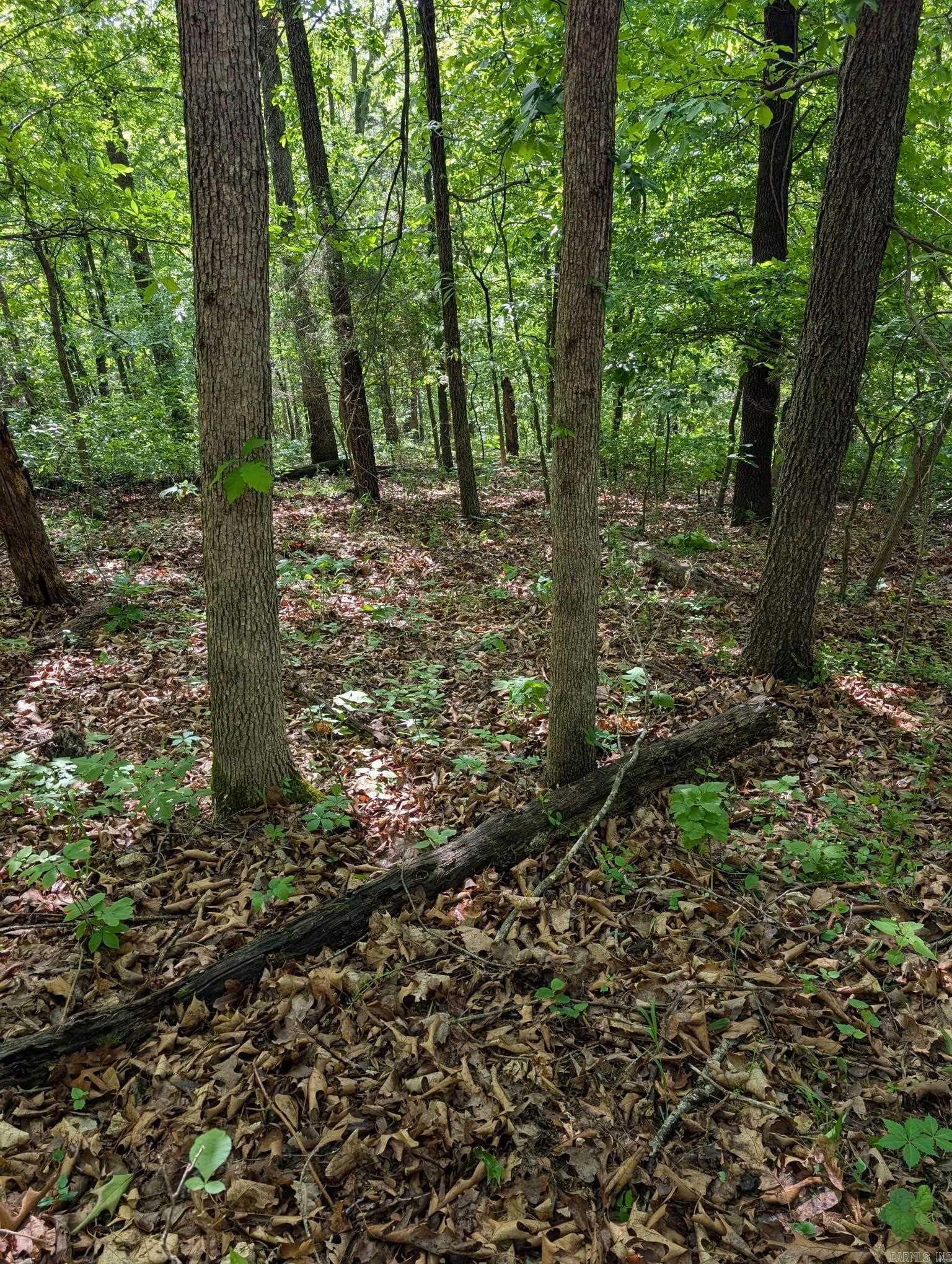 Lot 29 A Spring  Bentonville, AR