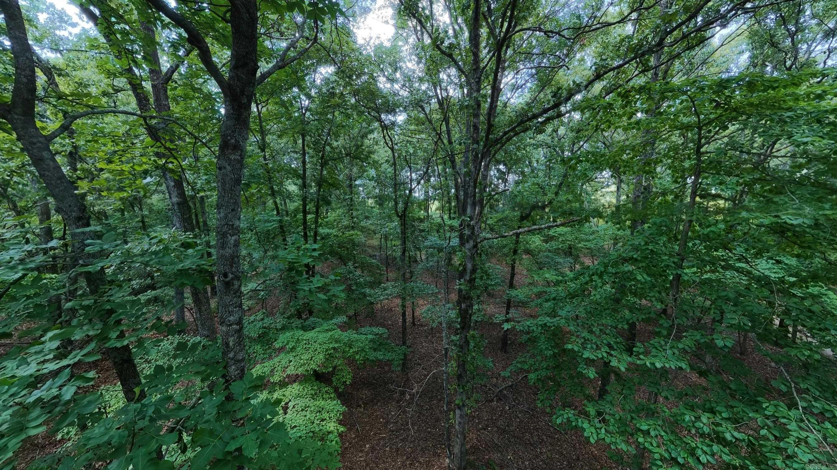 310 County Road 343  West Plains, MO