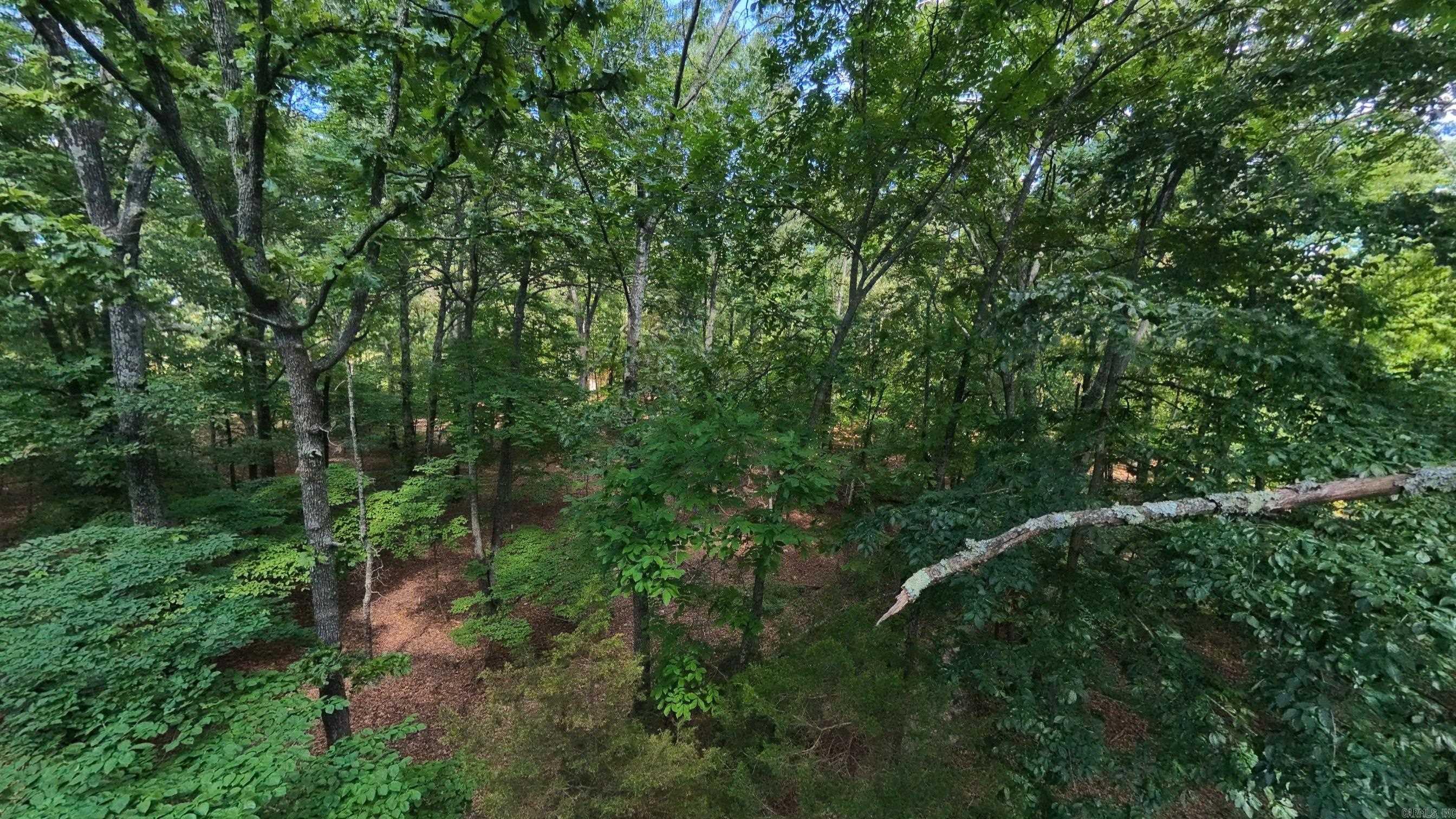 310 County Road 343  West Plains, MO