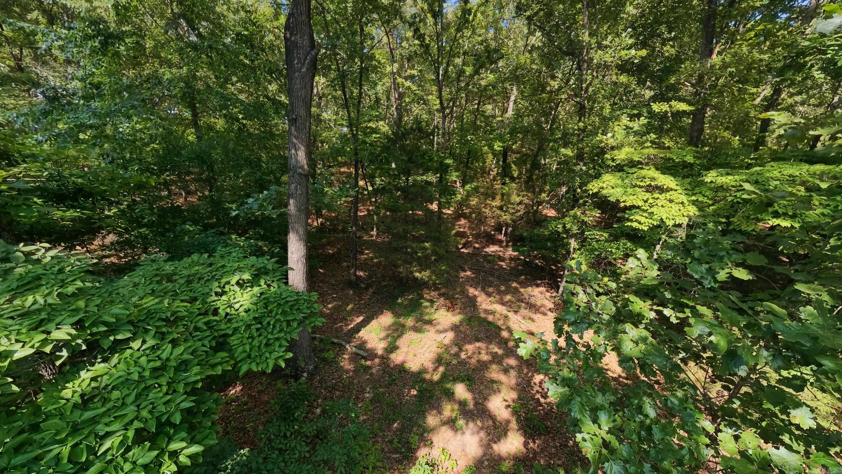 310 County Road 343  West Plains, MO