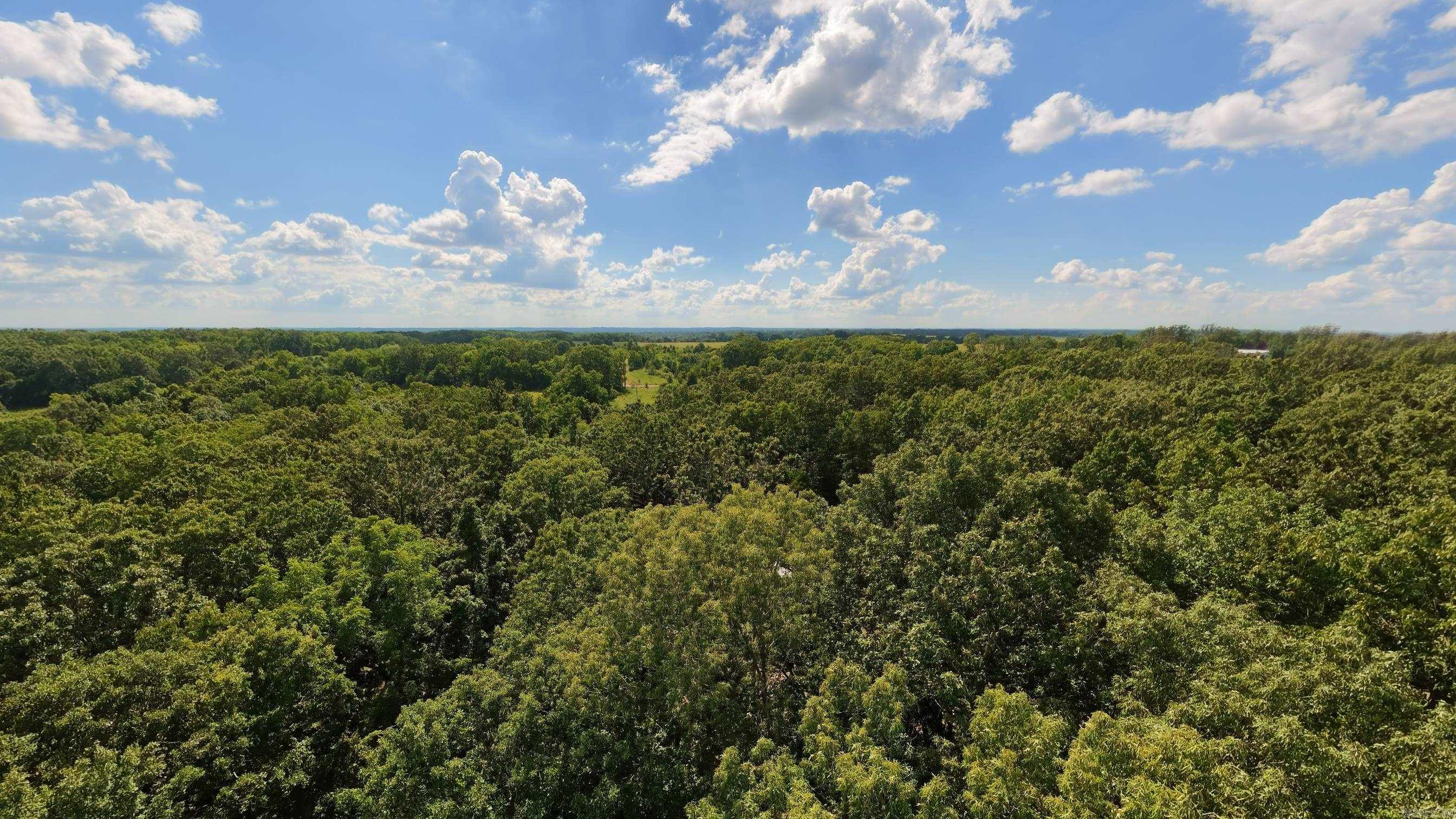 310 County Road 343  West Plains, MO