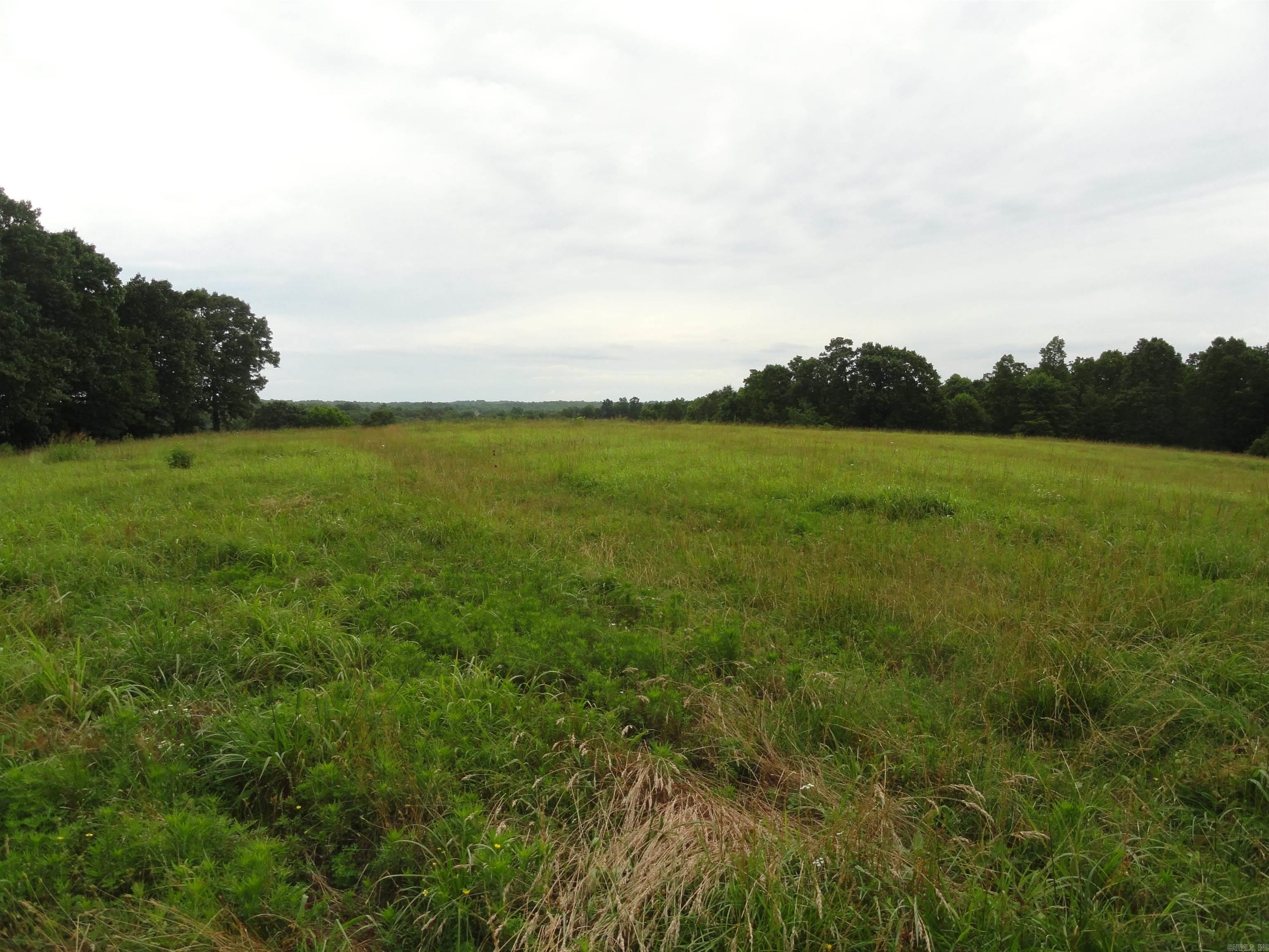 386 Reedville  Saint Joe, AR