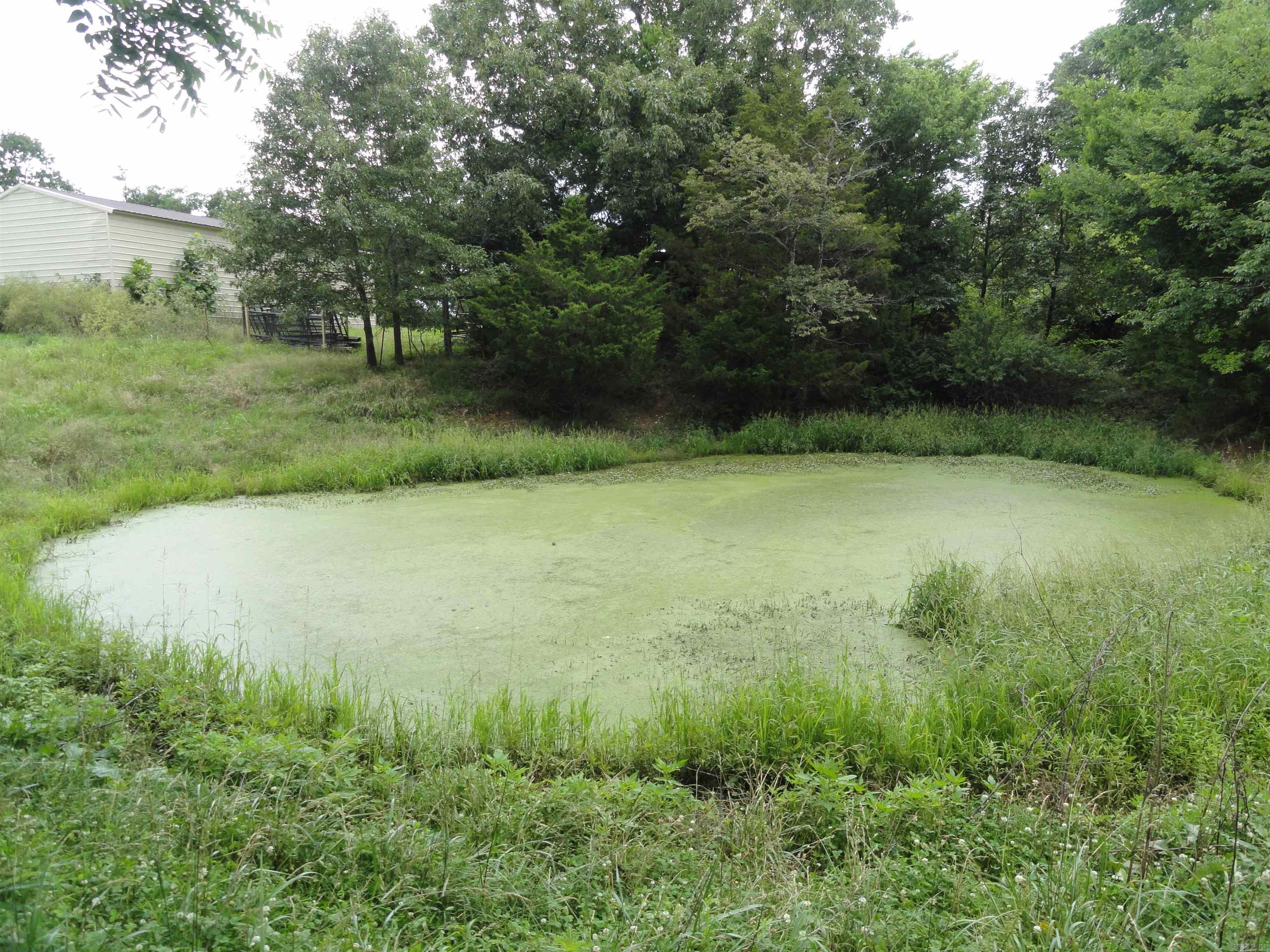 386 Reedville  Saint Joe, AR