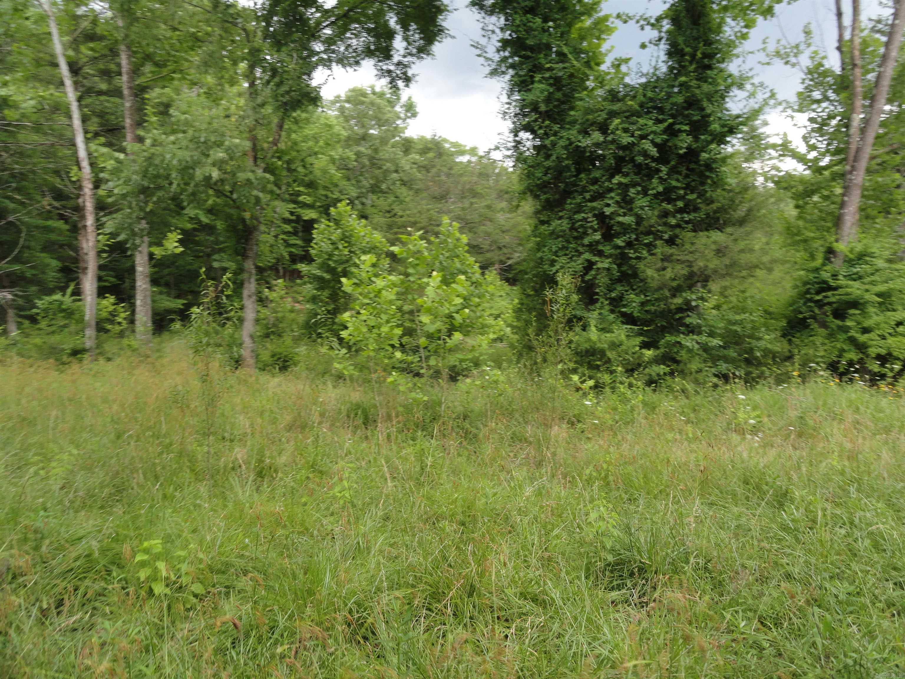 386 Reedville  Saint Joe, AR