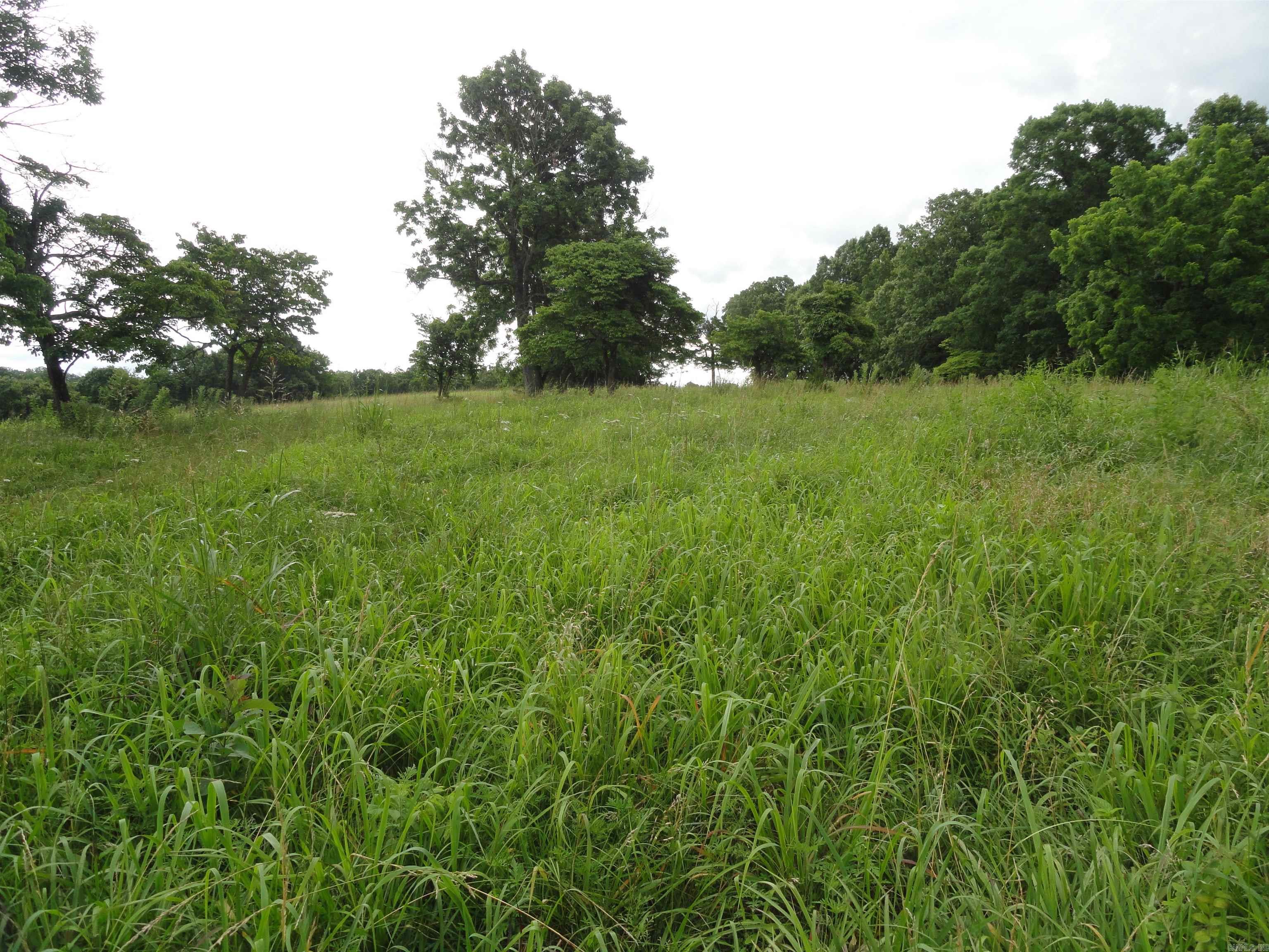 386 Reedville  Saint Joe, AR