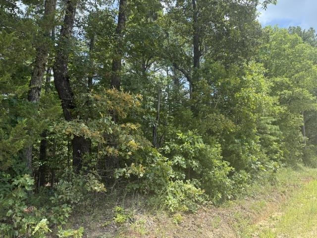 Tract 20 Deer Chase Rd  Viola, AR