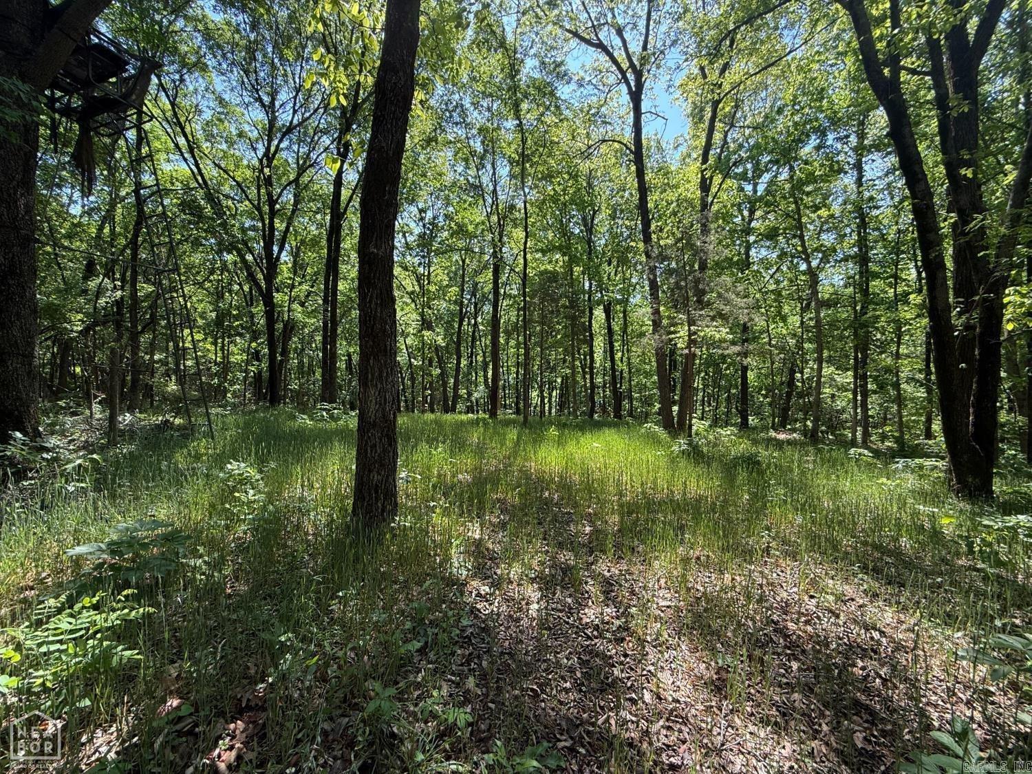 8208 Oak Creek  Harrisburg, AR