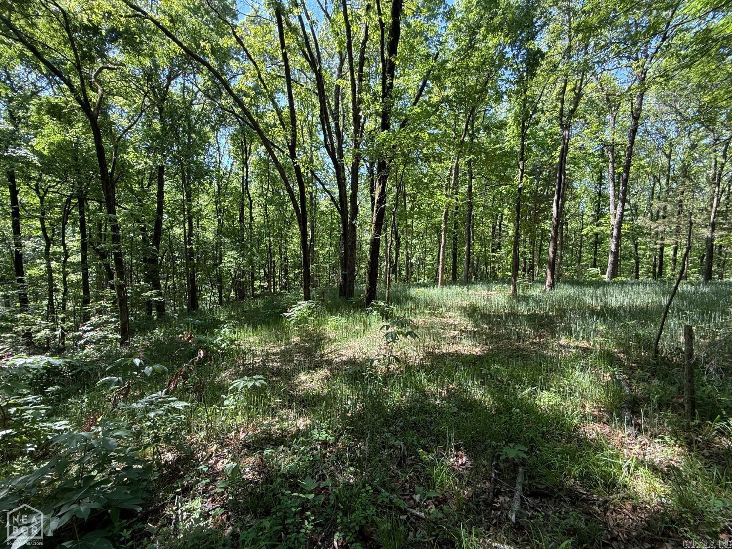 8208 Oak Creek  Harrisburg, AR