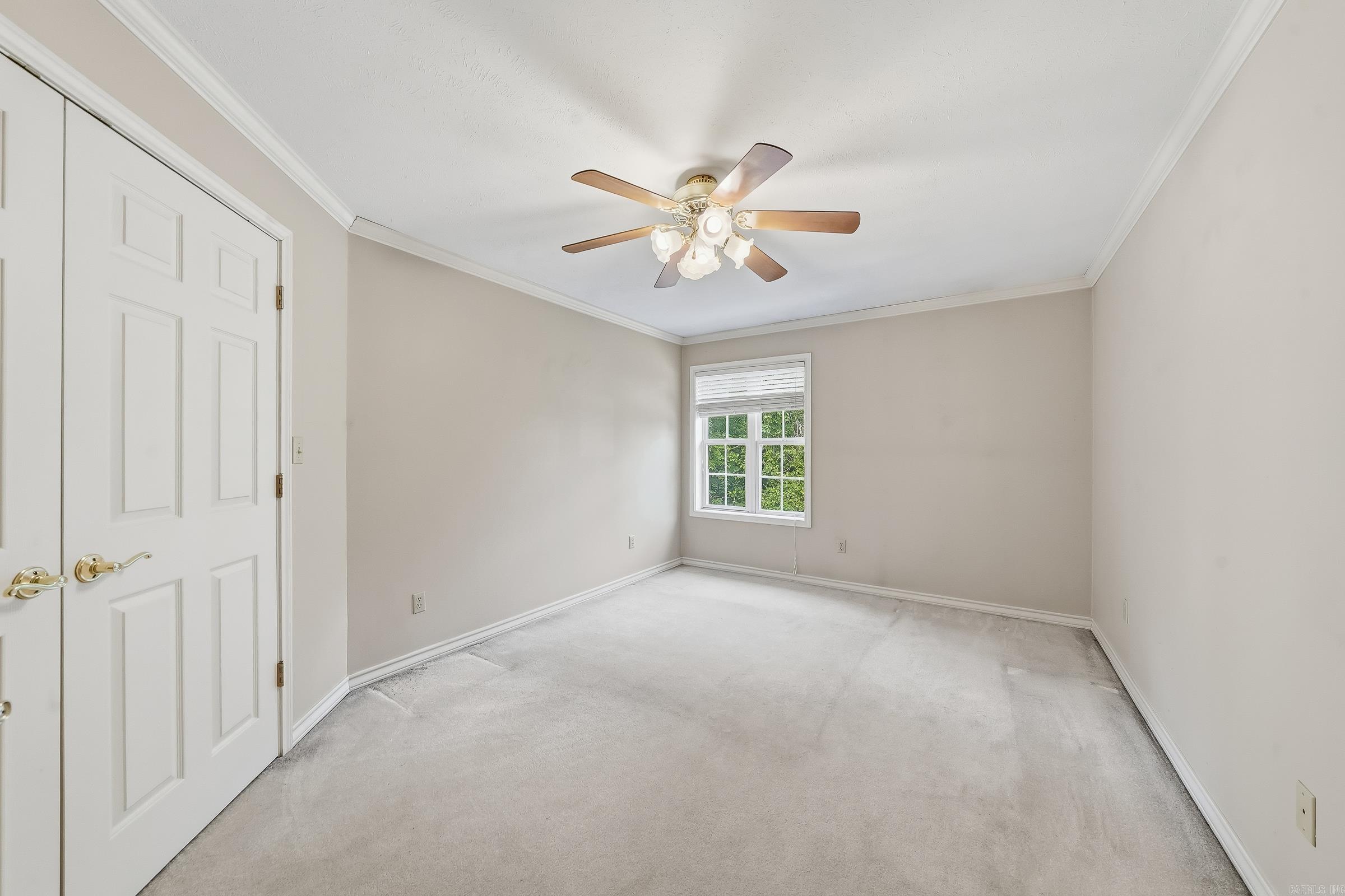 161 White Tail  De Queen, AR