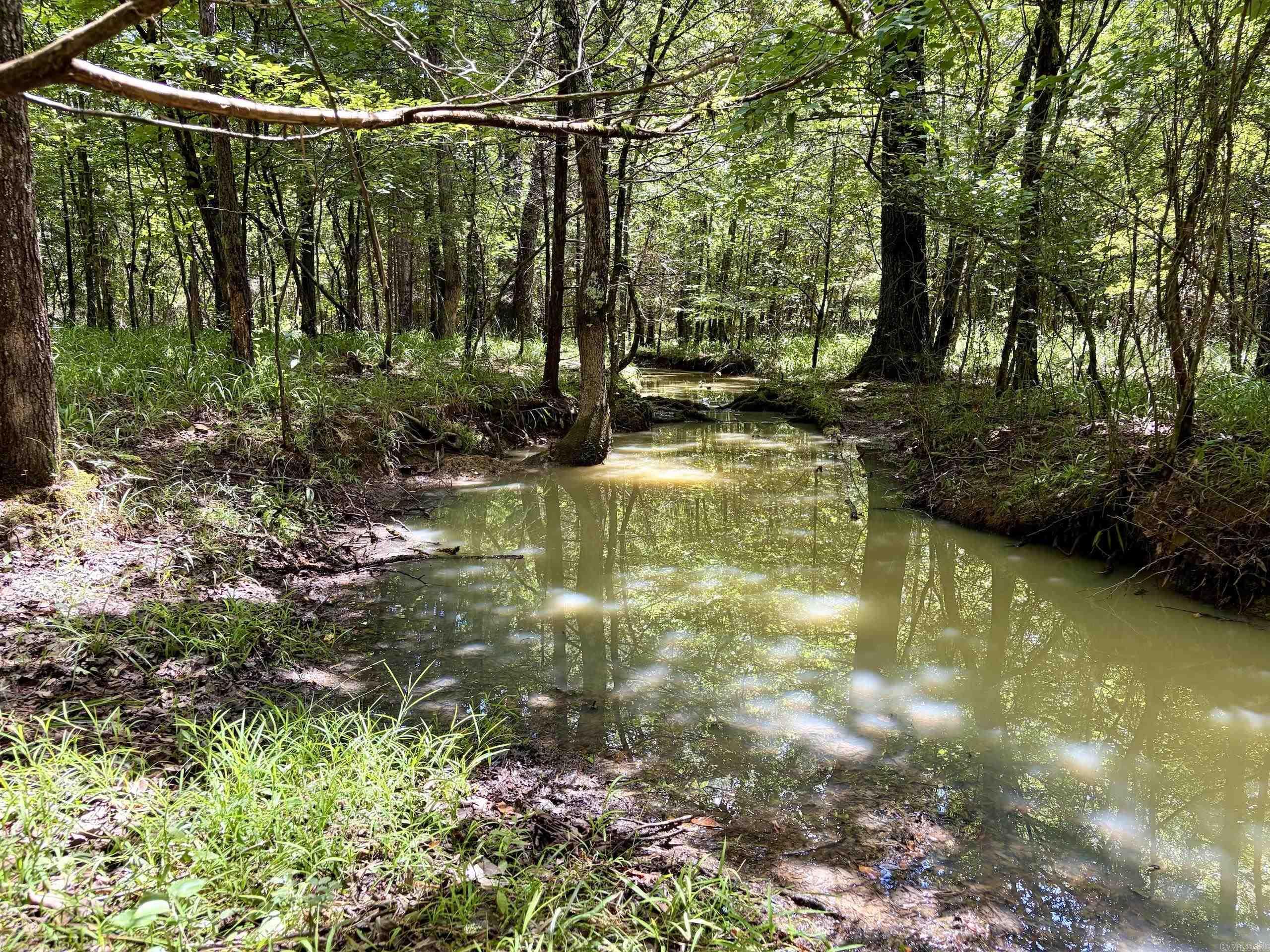 000 HWY 28  Ola, AR